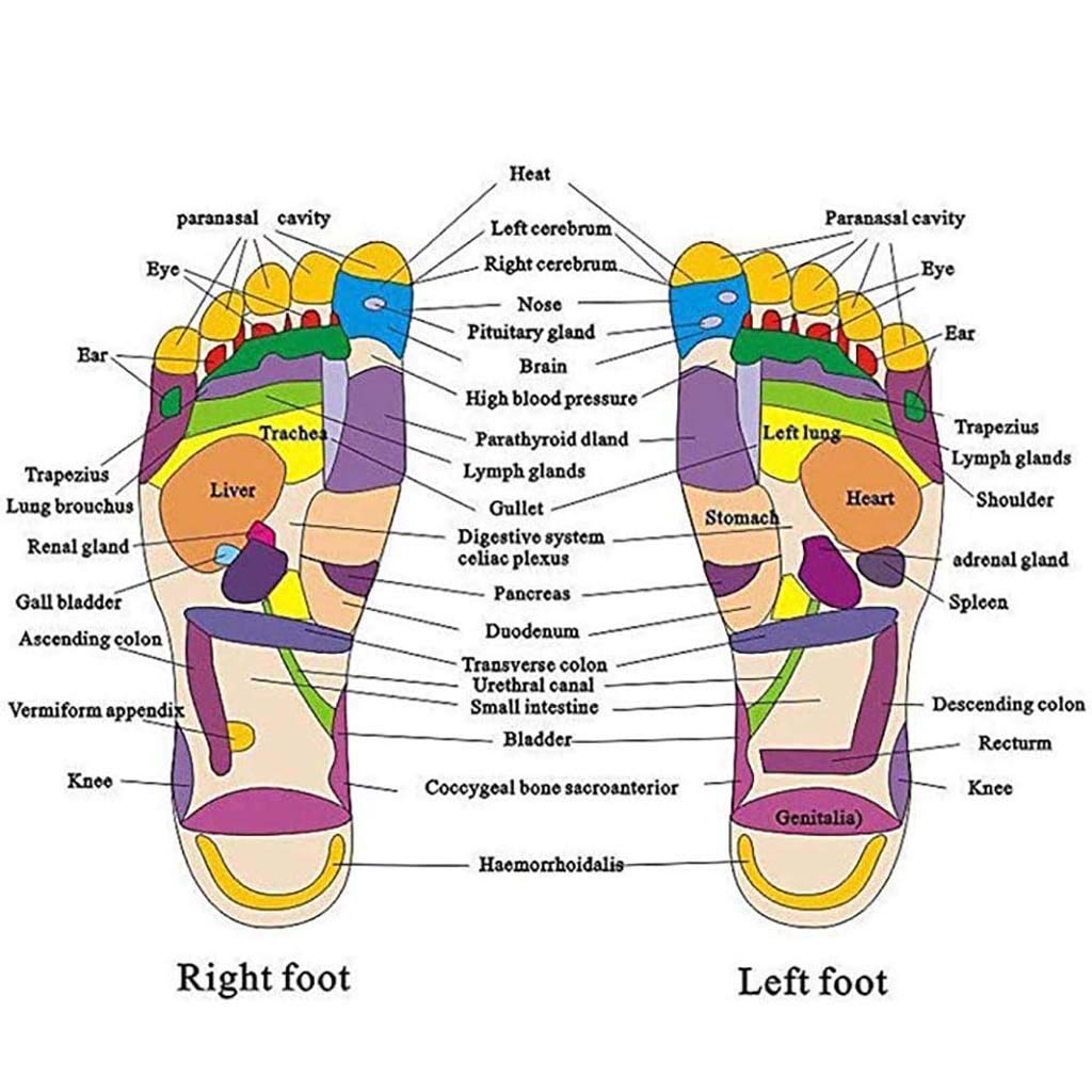 Pebble Acupuncture Foot Massage Slippers for Men & Women - Home Relaxation Massage Shoes with Reflexology Stones - Perfect for Stress Relief, Circulation & Comfort After Work or Yoga