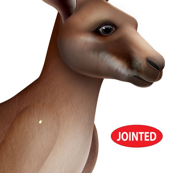 12 Pack Beistle Jointed Kangaroo Wall Decorations - Fun & Festive Party Supplies for Birthday, Baby Shower & Classroom Decor
