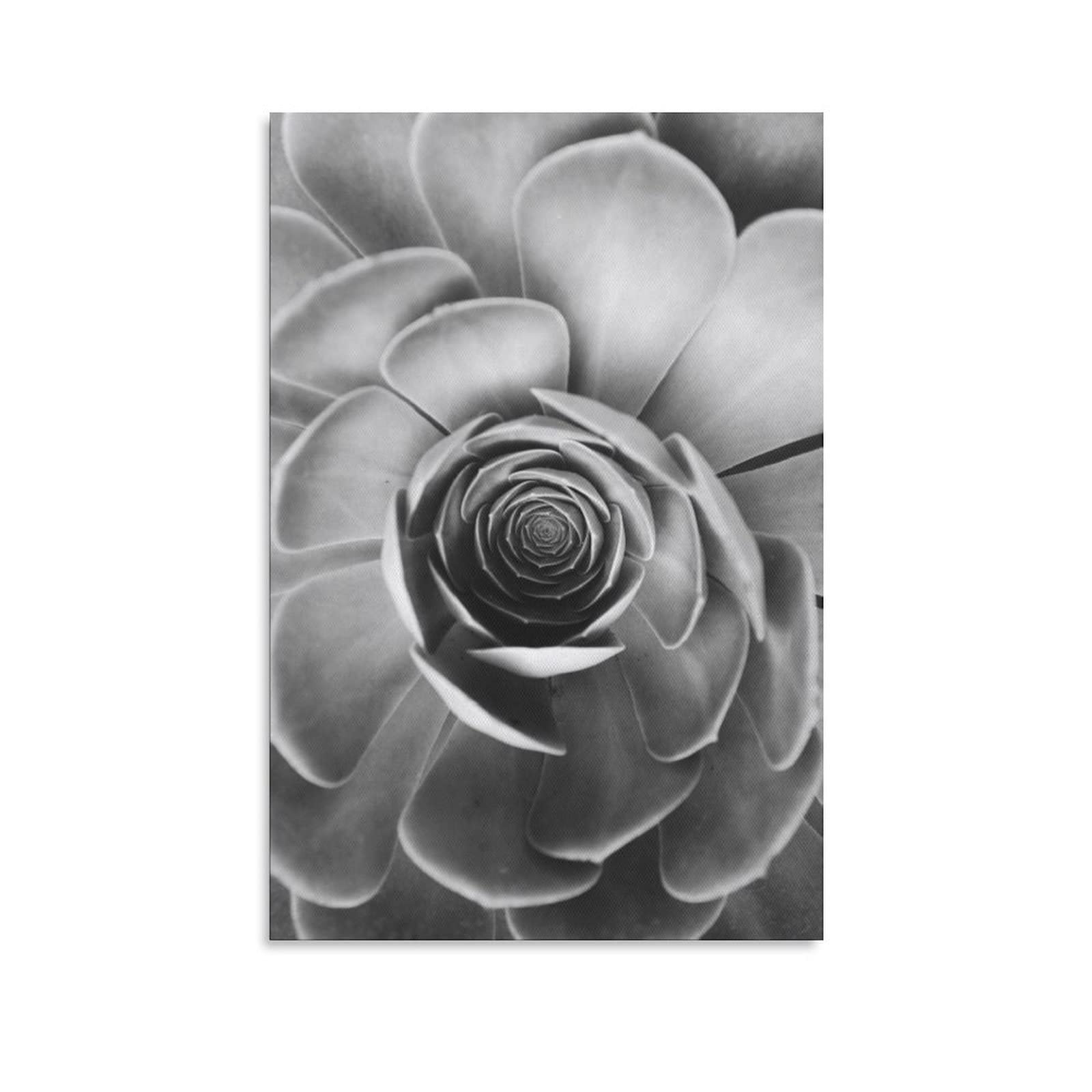 Black and White Succulent Plant Canvas Wall Art - 12x18 Inches (30x45cm) - Modern Botanical Poster for Living Room, Bedroom & Office Decor - Perfect Gift for Plant Lovers - Enhance Your Home, Workspace or Gym with Nature-Inspired Art