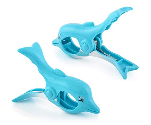 Dolphin