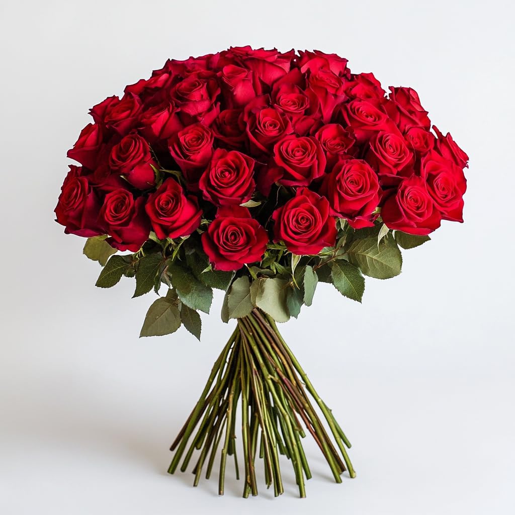 100 Red Roses - Fresh Cut Flowers for Birthday, Anniversary, Congratulations, Thank You | Perfect Gift for Loved Ones, Romantic Occasions & Home Decor