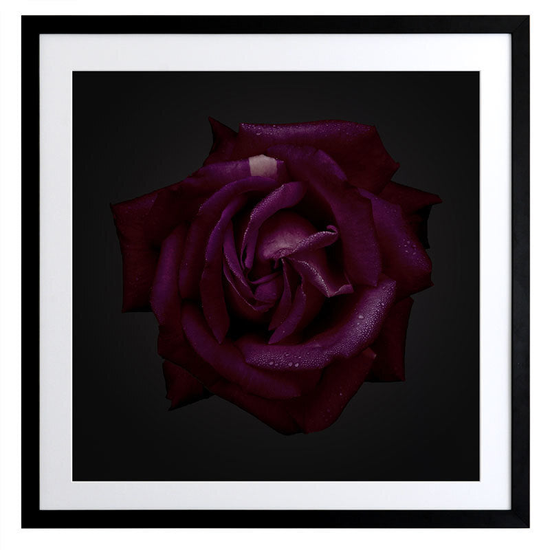 Enchantress Framed Art Print - Gothic Fantasy Wall Decor for Living Room, Bedroom & Office - Premium Canvas Painting for Home & Gift