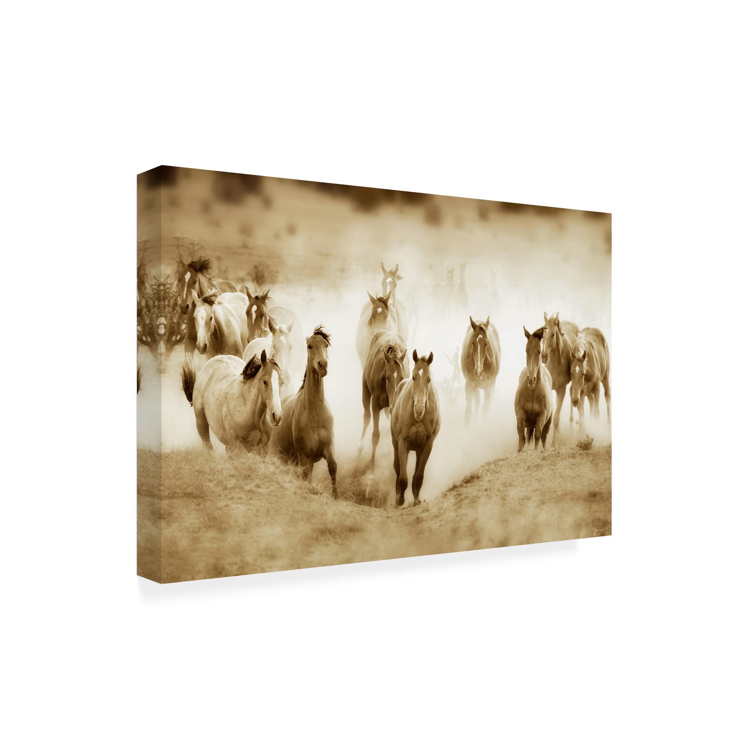 Trademark Fine Art 'San Cristobol Horses' Canvas Wall Art by Lisa Dearing - Stunning Equestrian Painting for Living Room, Bedroom & Office Decor