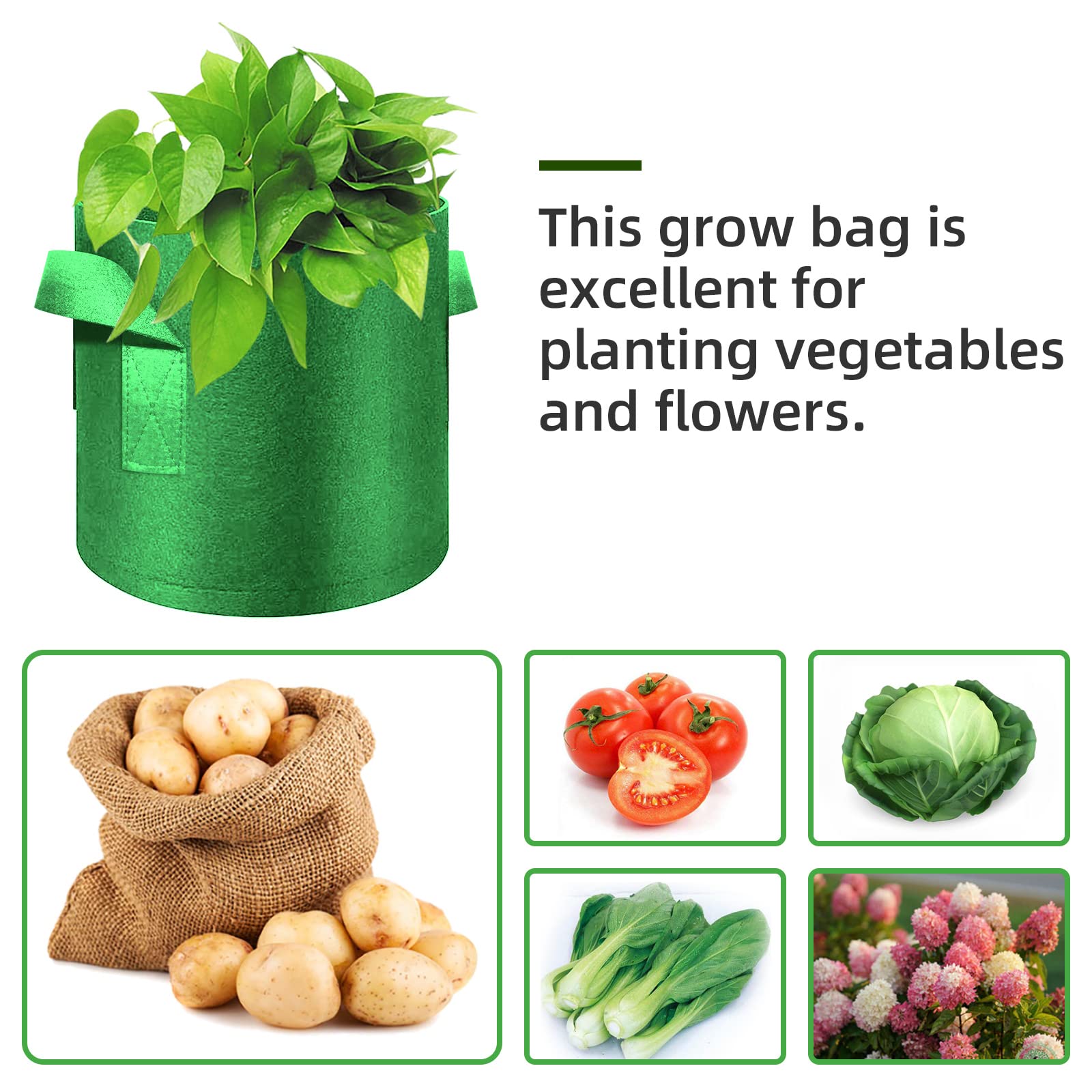 12-Pack 5 Gallon Thickened Nonwoven Fabric Plant Grow Bags with Handles - Durable Garden Planter Pots for Vegetables, Flowers, Fruits & Plants - Perfect for Outdoor Gardening, Balcony Planting & Container Gardening (Green)
