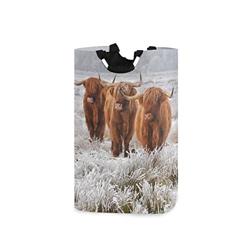 Scottish Highland Natural Winter Landscape