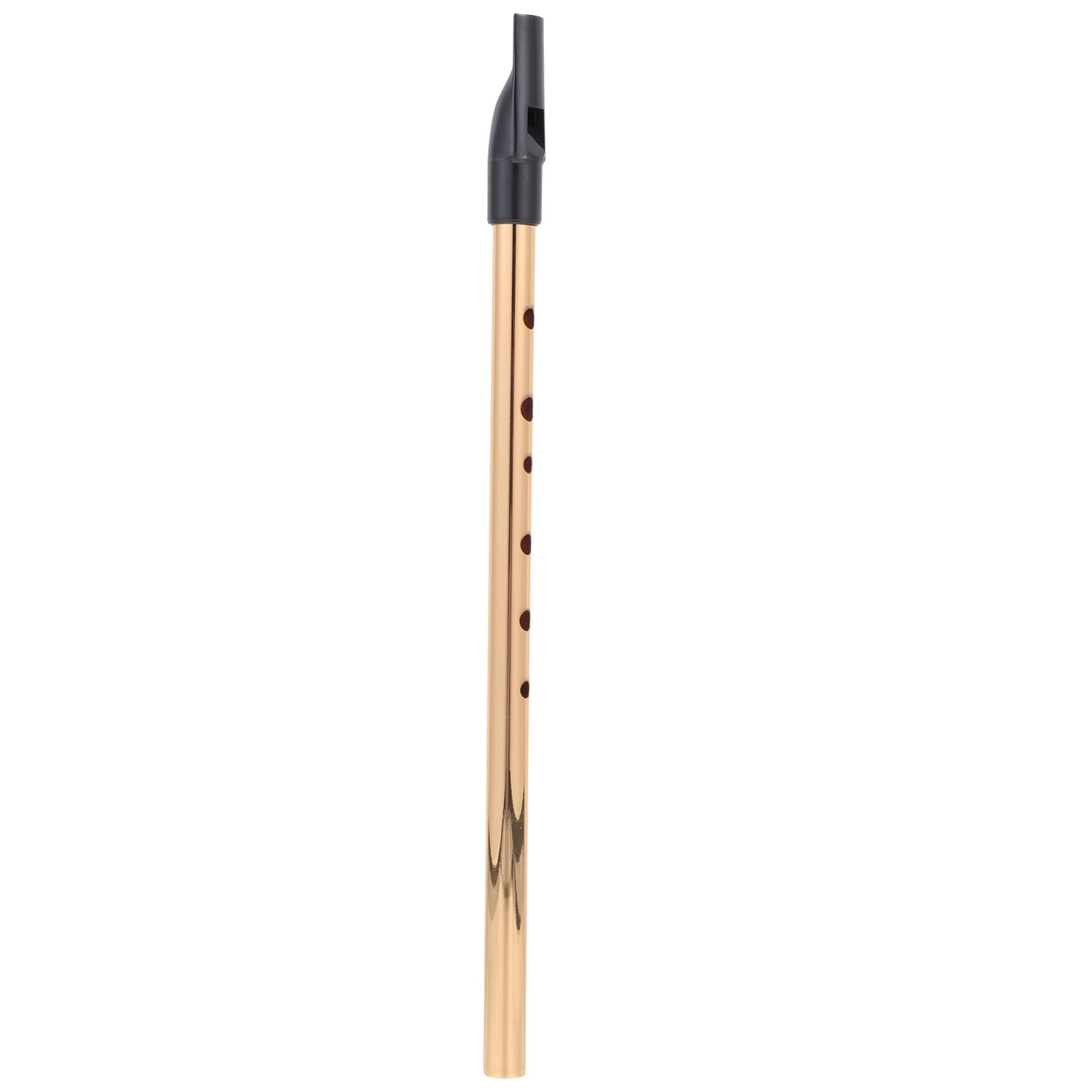 6 Hole Metal Soprano Recorder Flute - Professional Musical Instrument for Kids & Adult Beginners | Perfect for School, Band Practice & Home Music Learning