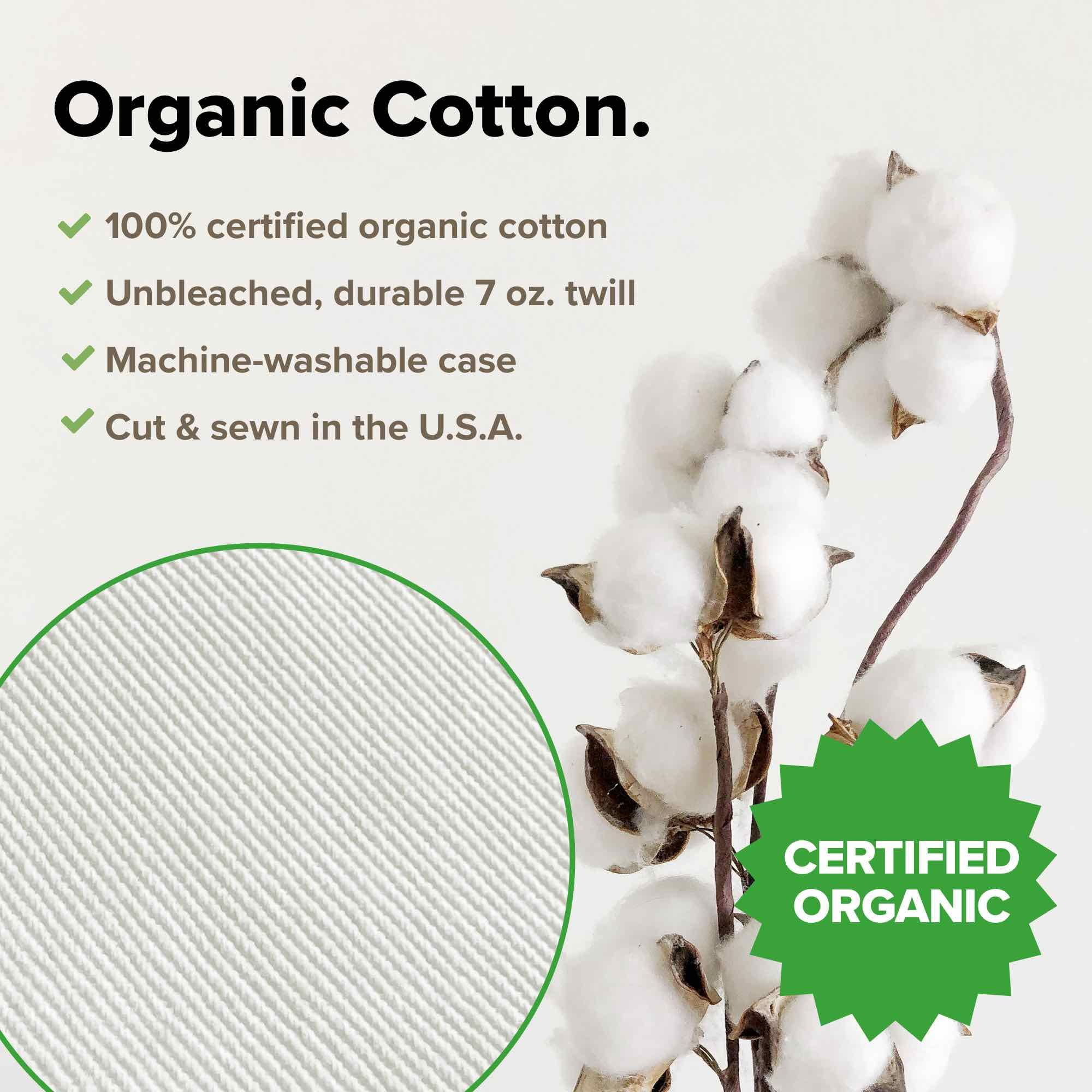Organic Buckwheat Pillow King Size 20