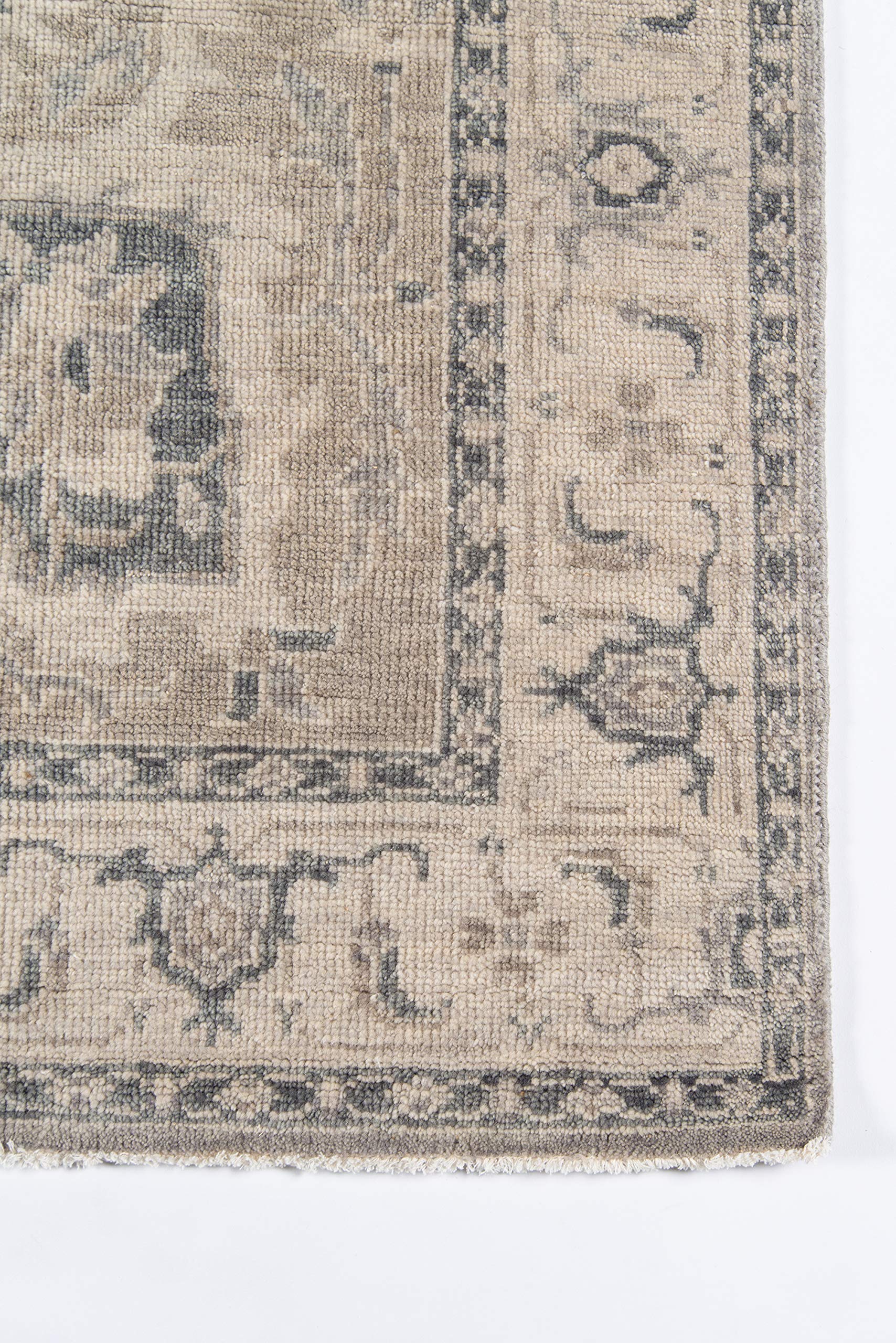 Momeni Banaras Area Rug 5'6