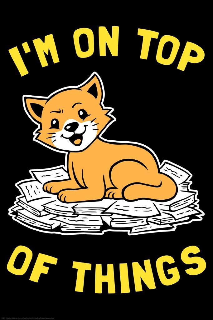 Funny Cat Sitting Motivational Poster - 'I'm On Top of Things' Inspirational Wall Art Print (16x24) - Perfect for Home Office Decor, Cat Lover Gifts & Classroom Motivation