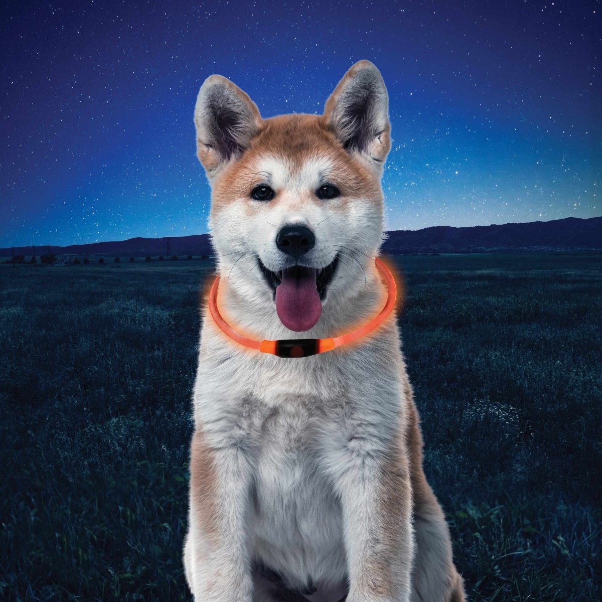 Nite Ize NITEHOWL® LED Safety Necklace - High Visibility Light Up Dog Collar for Night Walking, Running, and Outdoor Adventures