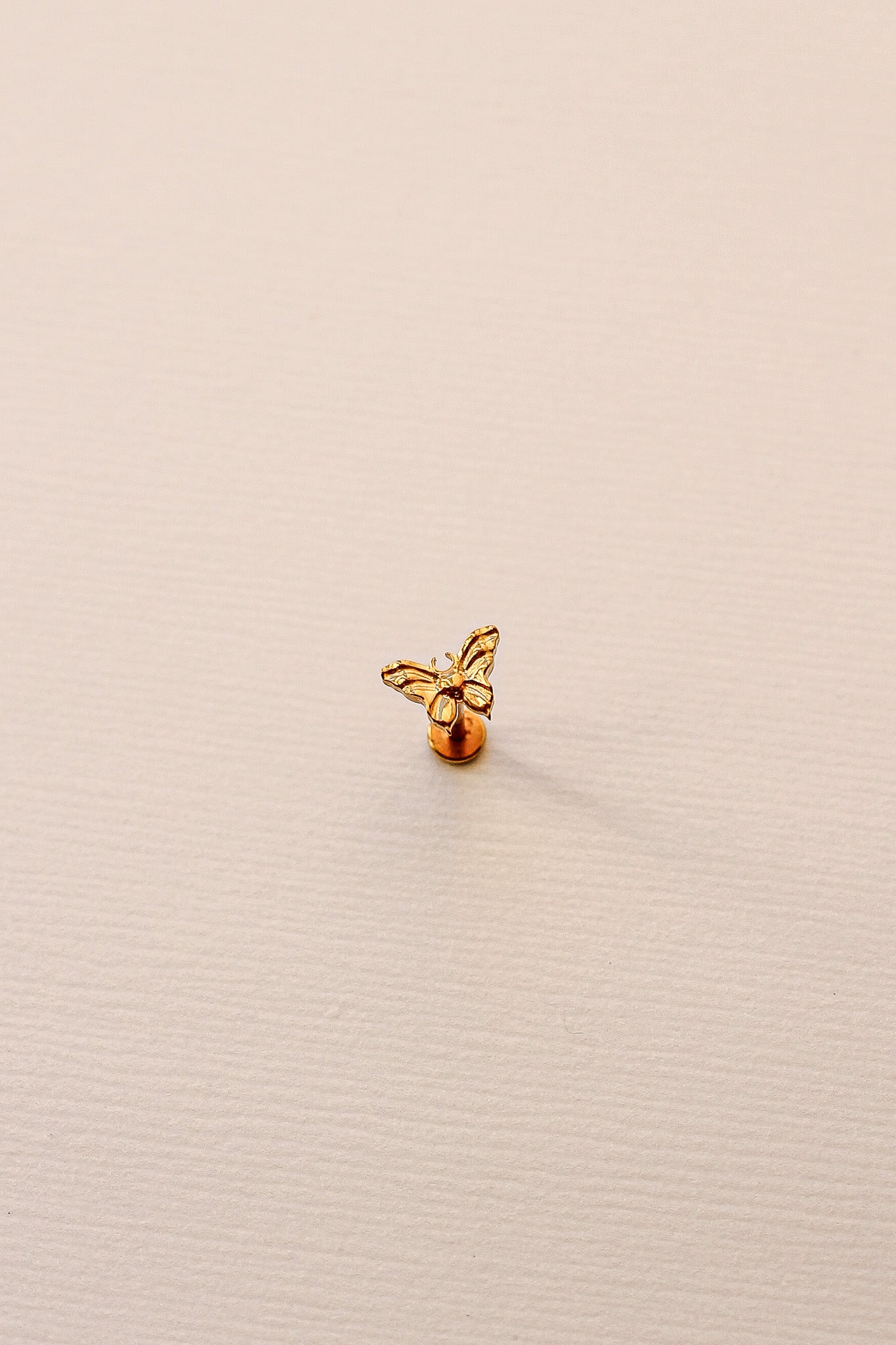Monarch Flat Back Stud Earrings for Women - Hypoallergenic Stainless Steel CZ Studs - Perfect for Daily Wear, Parties & Gifting
