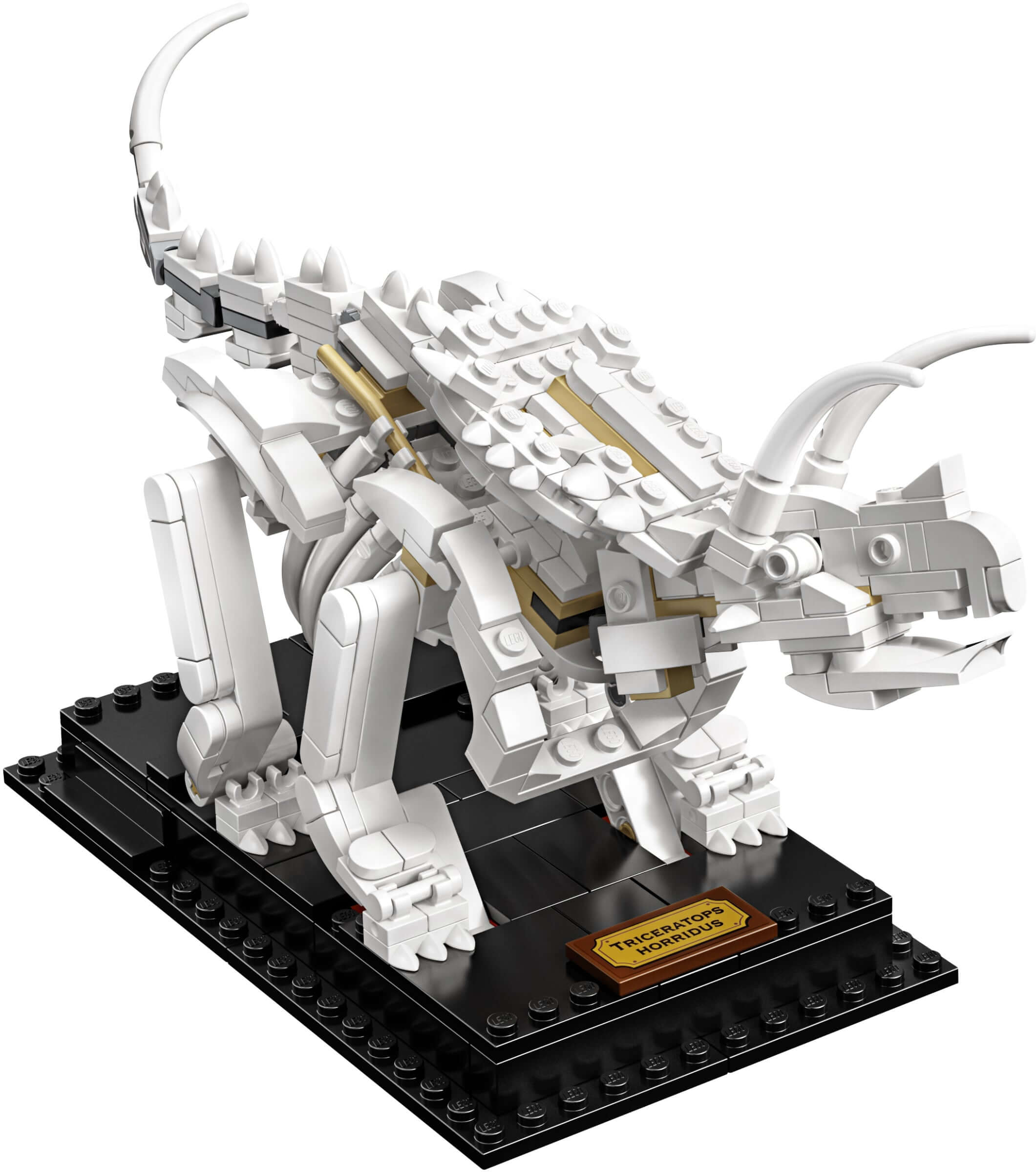 LEGO 21320 Dinosaur Fossils Building Kit - 910 Pieces, Collectible Model Set for Adults & Kids - Perfect for STEM Learning, Home Decor & Gift Giving