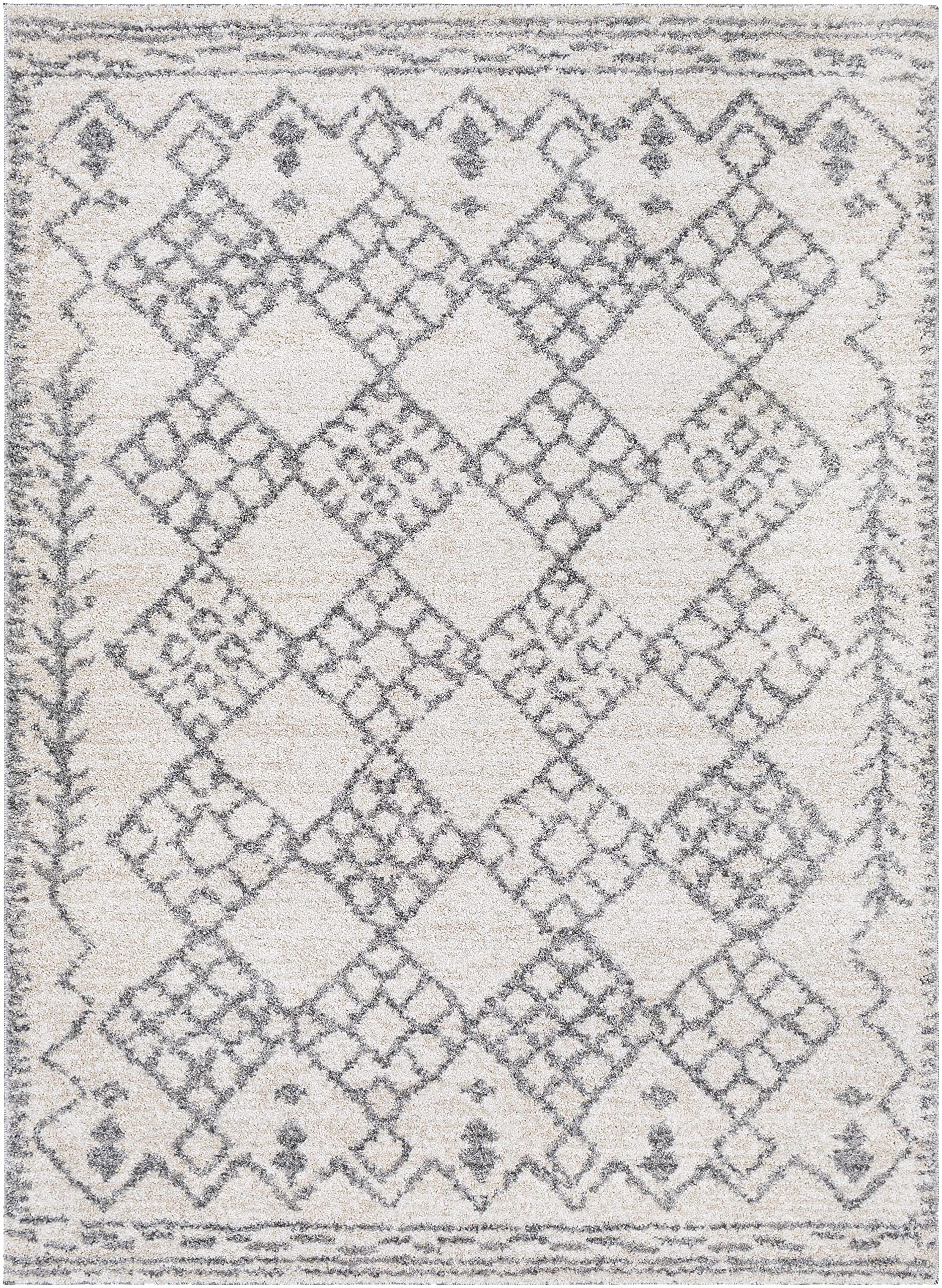 Luxury Hauteloom High Pile Area Rug for Living Room & Bedroom - Soft Gray & Beige 5'3