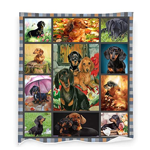 Dachshund Dog Pattern
