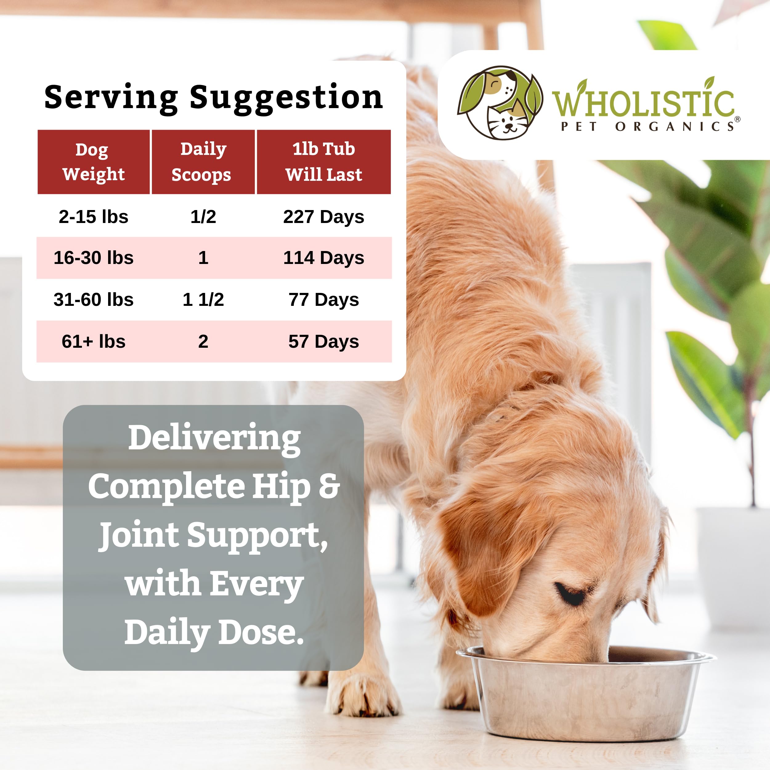 Wholistic Pet Organics Run Free - 1 Lb - Glucosamine Chondroitin MSM Dog Joint Supplement for Senior Dogs & Cats, Hip & Joint Pain Relief, Mobility Support - Ideal for Active Pets & Aging Animals