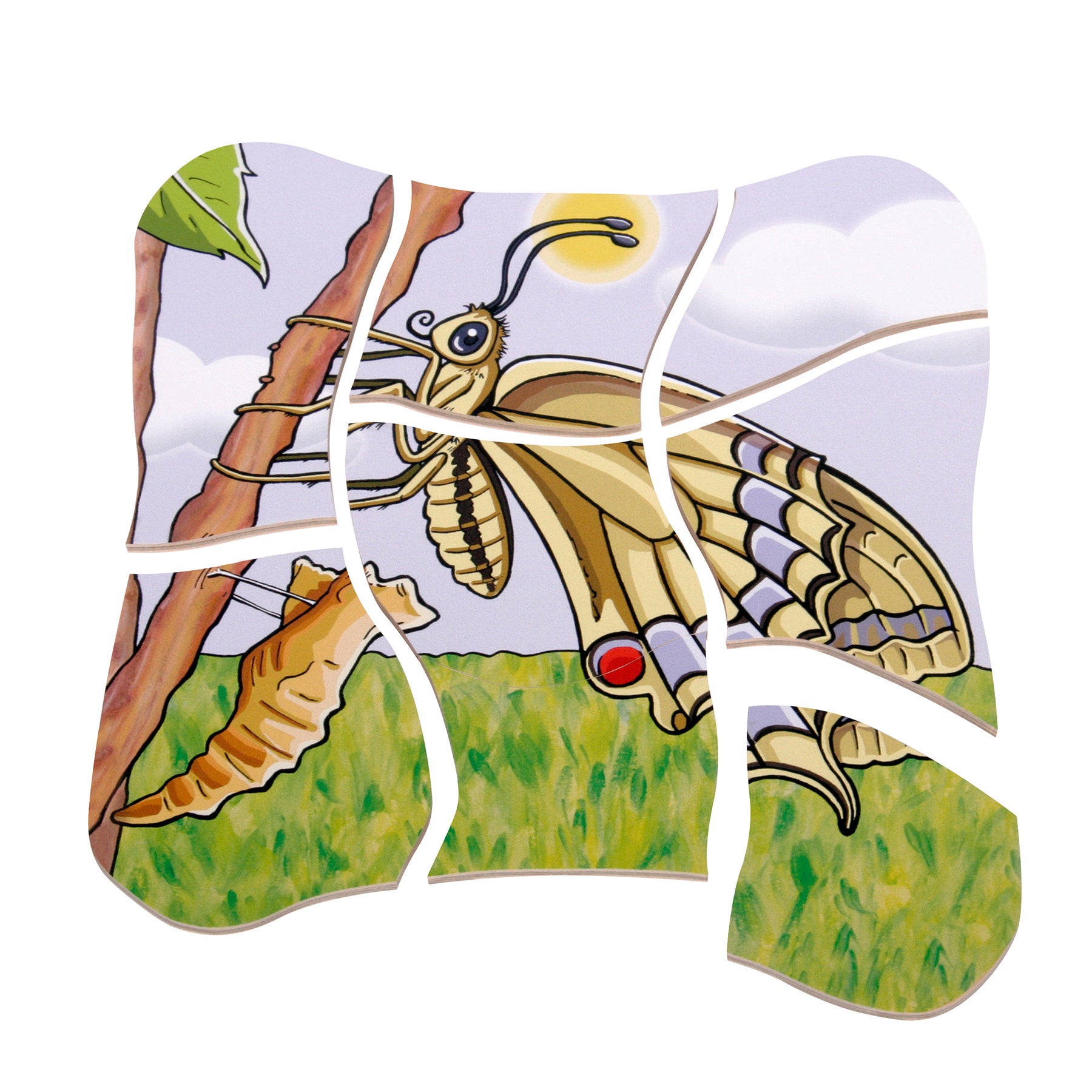 Beleduc Layer Puzzle - Transformative Butterfly Lifecycle Educational Toy for Kids | STEM Learning, Montessori Classroom & Homeschooling Activity