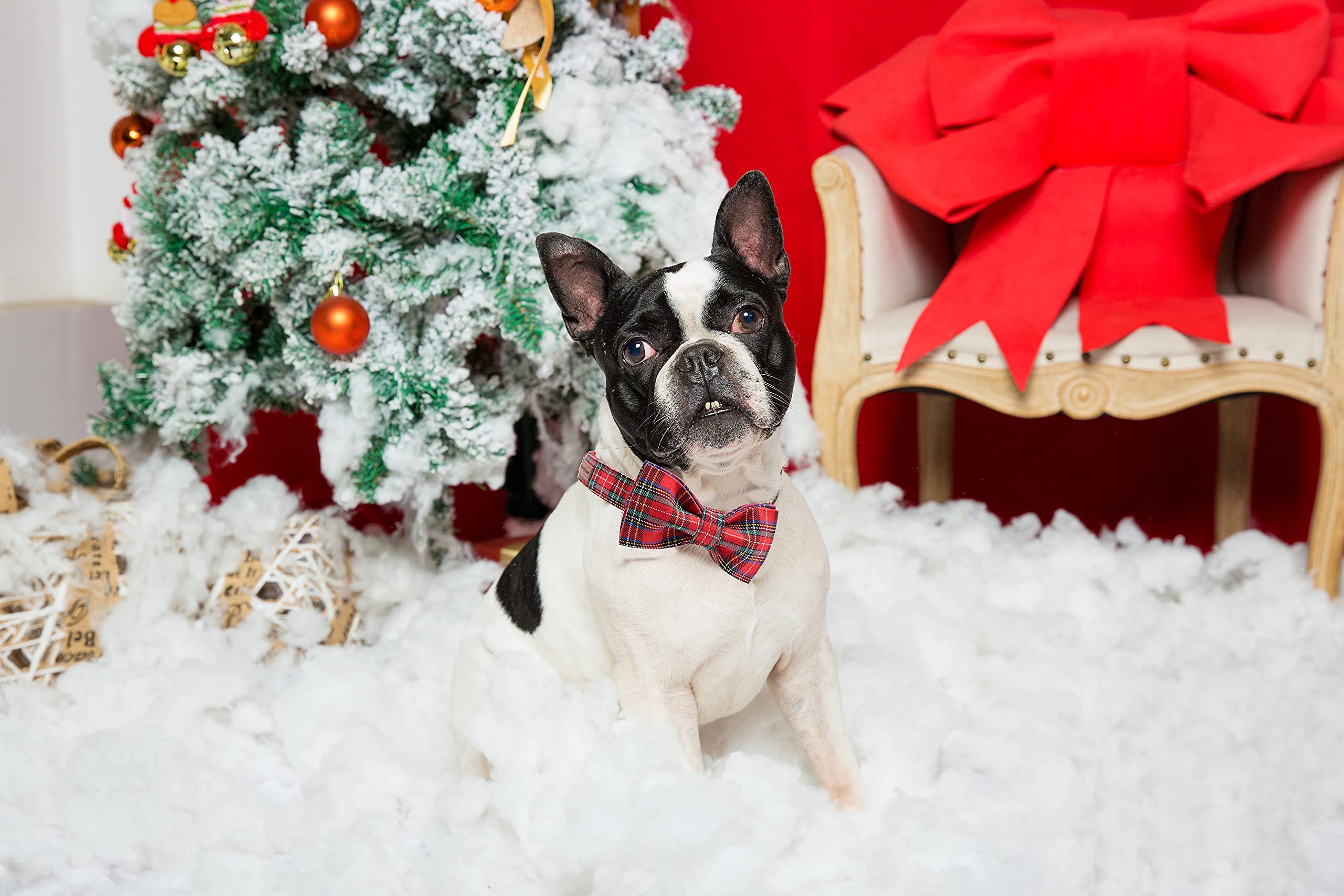 Stylish Adjustable Christmas Dog Collar with Bow Tie - Perfect for Small, Medium & Large Dogs - Great for Holiday Photos & Festive Parties