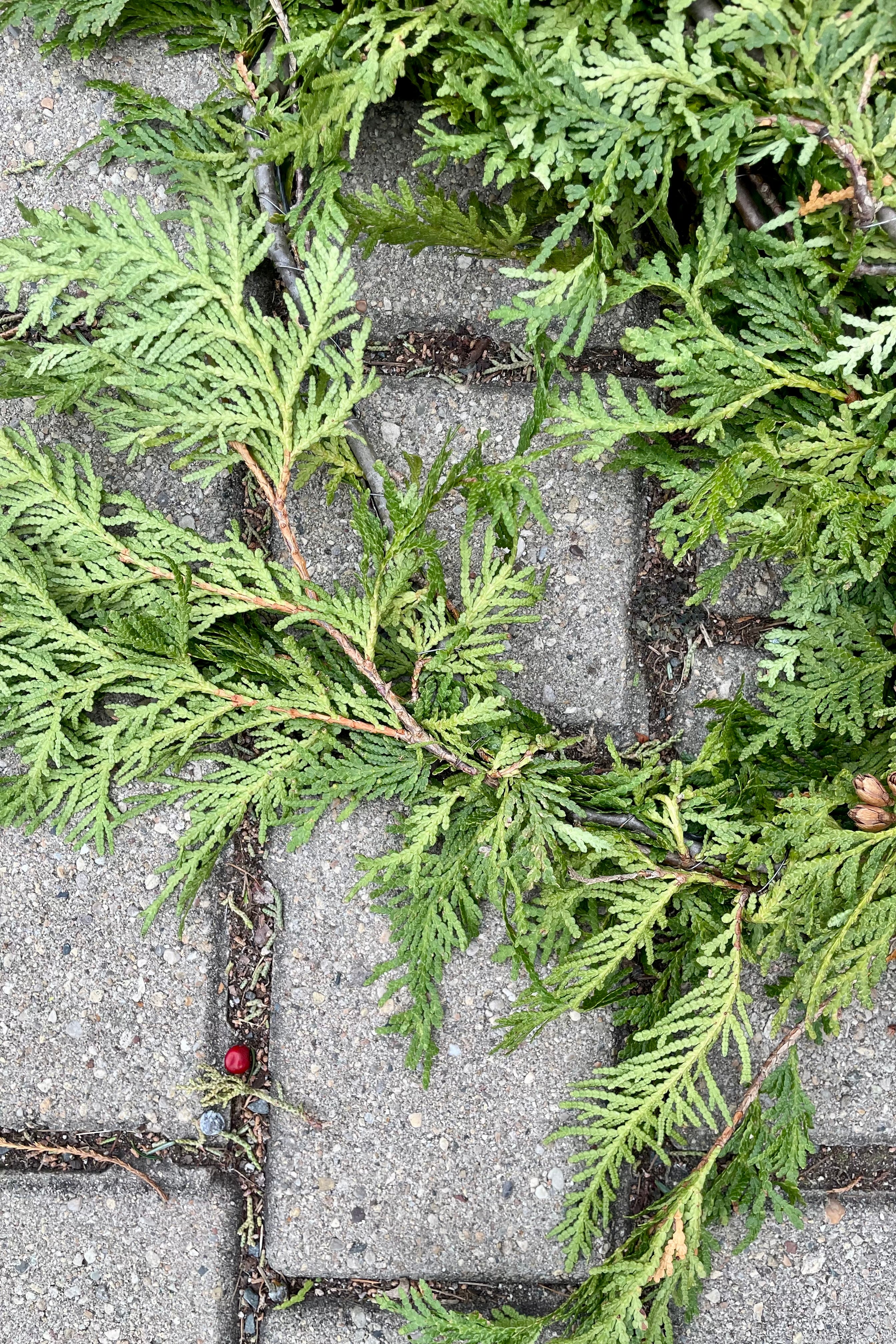 20' Cedar Garland for Christmas Decor - Rustic Holiday Wreath for Fireplace Mantel, Staircase & Front Door Decorations