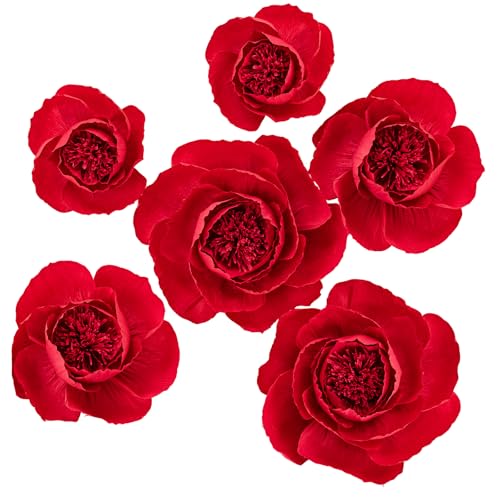 Red;set/6