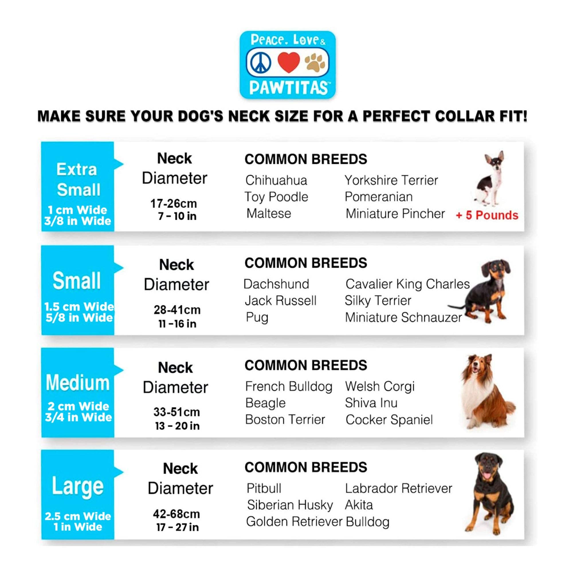 Pawtitas Small Dog Harness and Collar Set - Grey | Adjustable Pet Safety Gear for Walking, Training & Outdoor Adventures | Value Bundle for Small Dogs