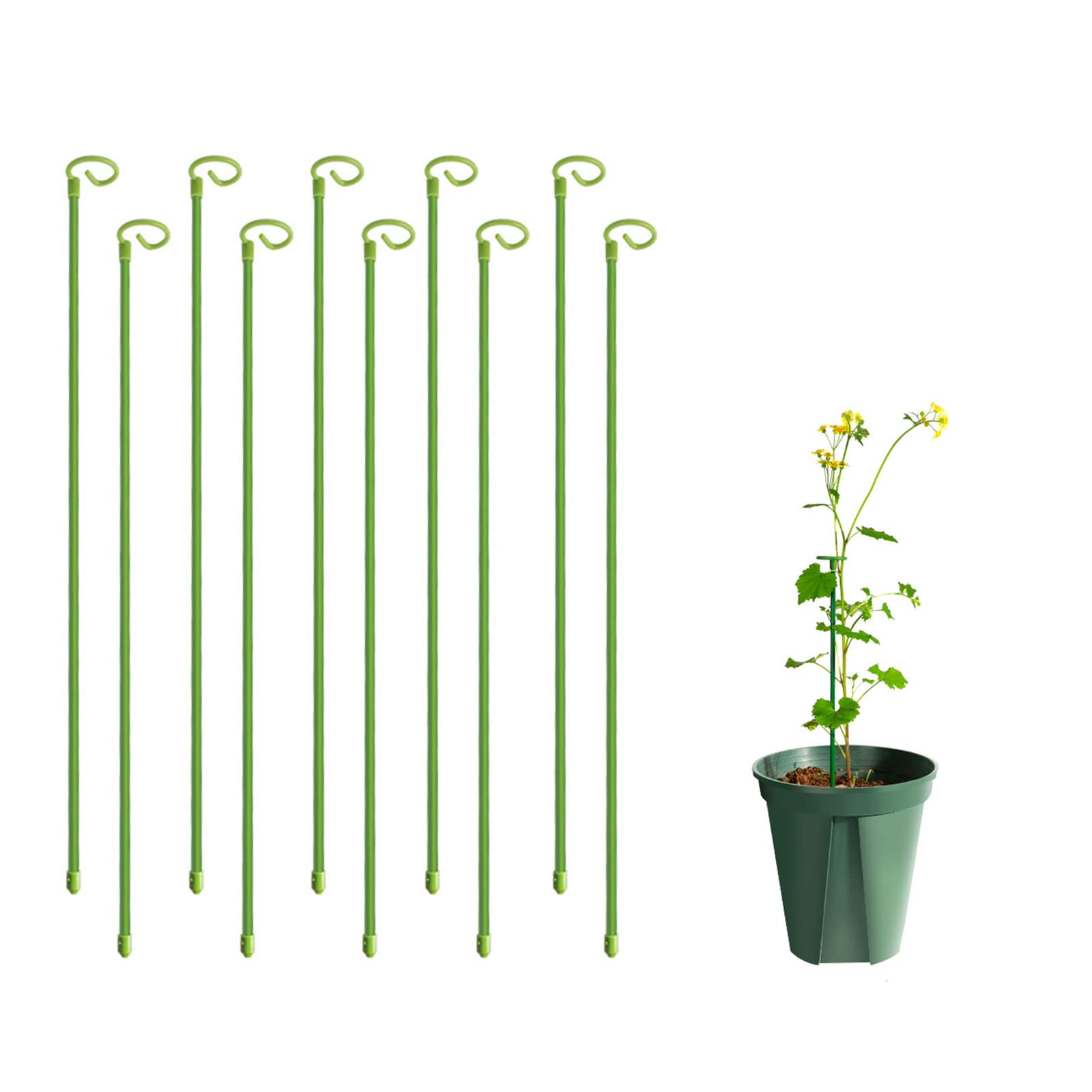 MSUIINT 10 Pack 11.8 Inch Garden Plant Support Stakes - Heavy Duty Single Stem Support for Potted Flowers, Tomatoes, Roses & Lilies | Perfect for Indoor/Outdoor Gardening, Greenhouses and Backyard Plant Care