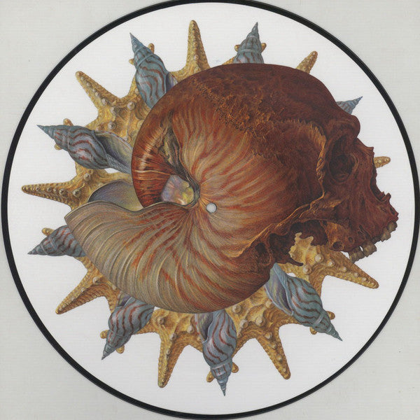 BARONESS 'Morningstar' Picture Disc Vinyl LP - Limited Edition Rock Music Record for Collectors & Audiophiles - Perfect for Home Listening & Music Enthusiast Gifts