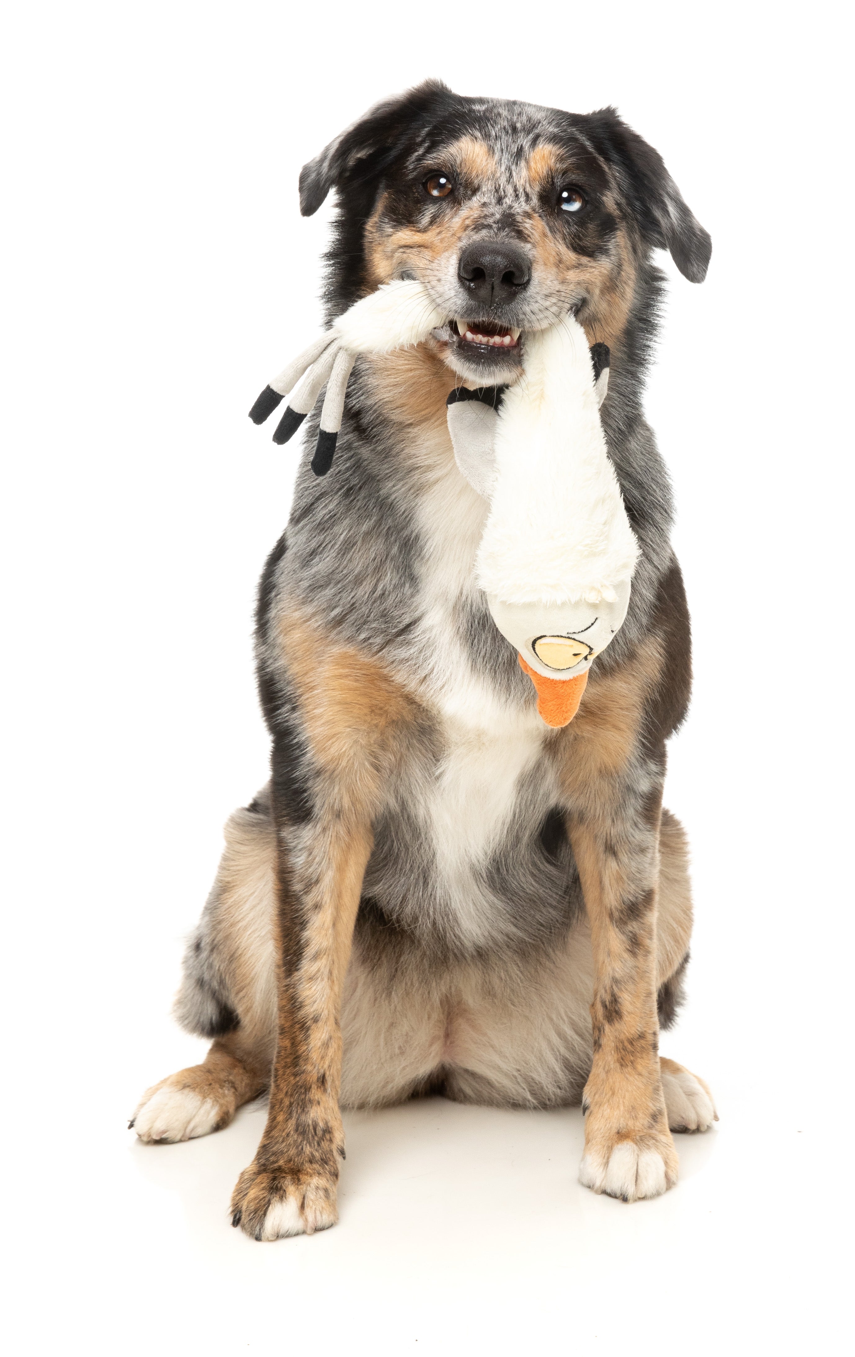 FuzzYard The Yeetz Swing and Throw Plush Dog Toy - Interactive Fetch Toy for Dogs with Squeaker, Durable & Soft (See Ya Seagull Design) - Perfect for Outdoor Play, Training & Bonding with Your Pet