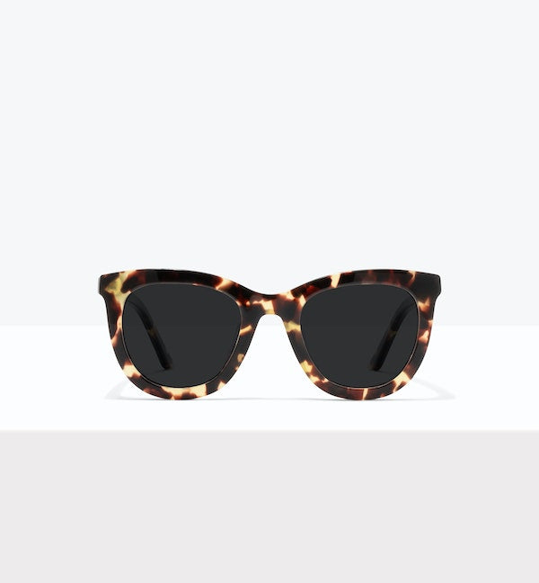 Paxton Polarized Sunglasses for Men & Women - UV Protection, Stylish & Lightweight - Perfect for Driving, Beach, and Outdoor Activities