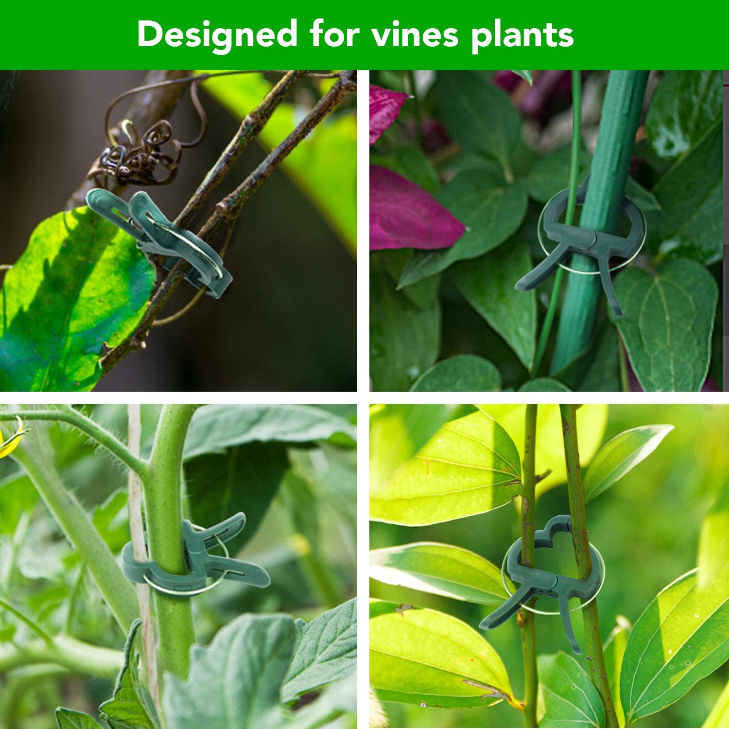 iPower 40 PCS Green Plant Clips for Gardening - Support Vines, Stems & Trellis