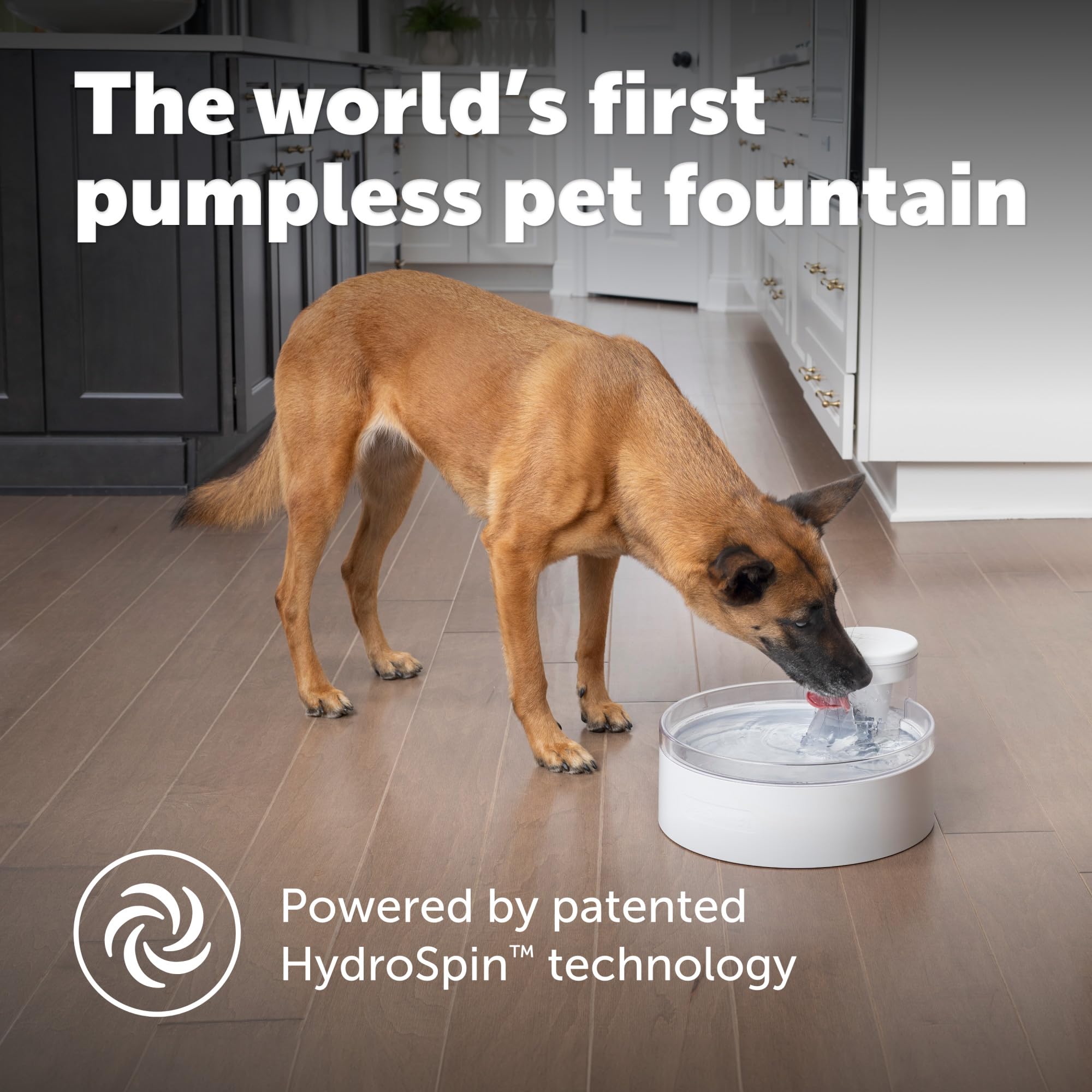 PetSafe Outlast Pumpless Dog Water Fountain 128oz - Automatic Water Dispenser for Dogs & Cats - BPA-Free, Dishwasher Safe with Easy Assembly & Cleaning - Includes Water Filter - Perfect for Home, Office & Multi-Pet Households