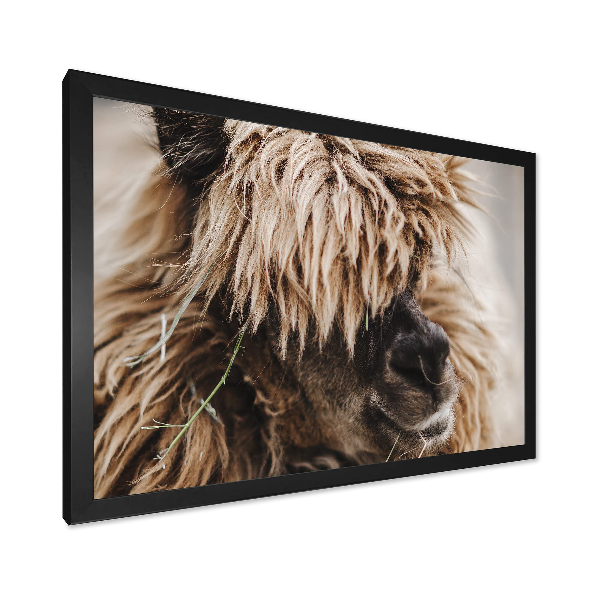Fluffy Curly Alpaca Framed Wall Art - Handmade Farmhouse Decor for Living Room, Bedroom & Nursery - Cozy Animal Portrait Painting for Home & Office