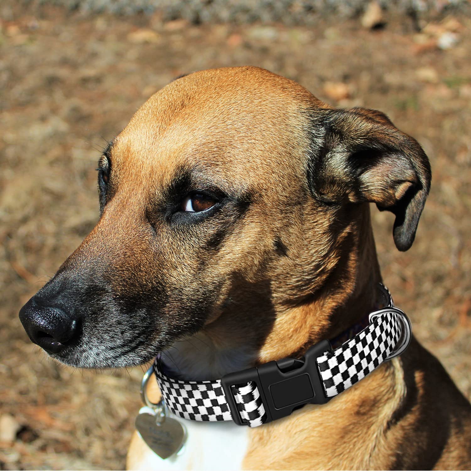 Stylish Checkered Dog Collar - Adjustable & Durable Pet Collar for Small, Medium & Large Dogs - Perfect for Daily Walks, Training & Outdoor Adventures (Large Size)