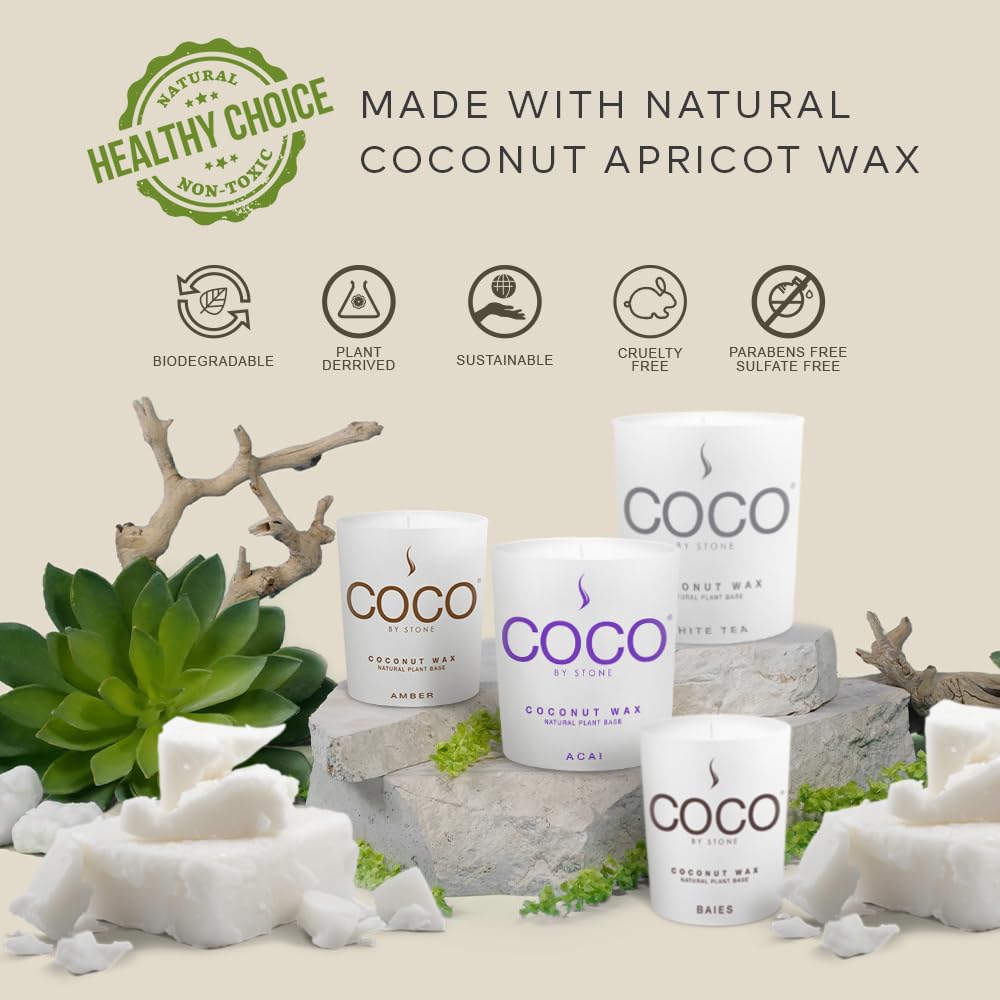 6.5oz Coconut Apricot Wax Candle - Vegan, Cruelty-Free & Clean Burning Home Fragrance with 1 Wick | Amber Scented Candle for Relaxation, Meditation & Home Decor | Hand Poured in USA