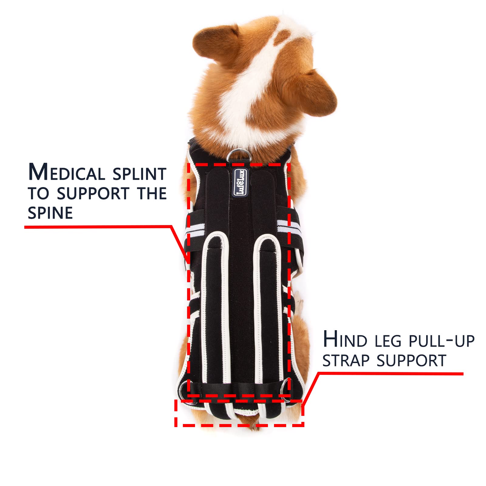 Dog Back Brace for IVDD, Arthritis & Back Pain Relief - Support Harness for Dachshunds & Small Dogs - Post-Surgery Recovery & Rehabilitation Aid - Perfect for Walking, Playing & Daily Mobility Support