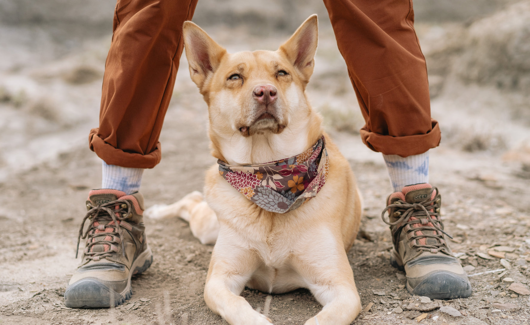 **Women's Waterproof Hiking Boots - Ridge Flex Outdoor Boots for Women | Timberwolf/Brick Dust | Perfect for Trail Hiking & Winter Adventures**
