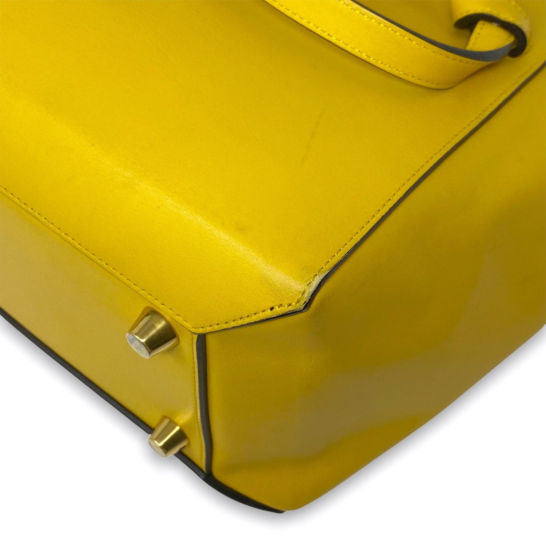 Celine Mini Belt Bag in Yellow | Crossbody Handbag for Women | Perfect for Everyday Use, Travel & Casual Outings