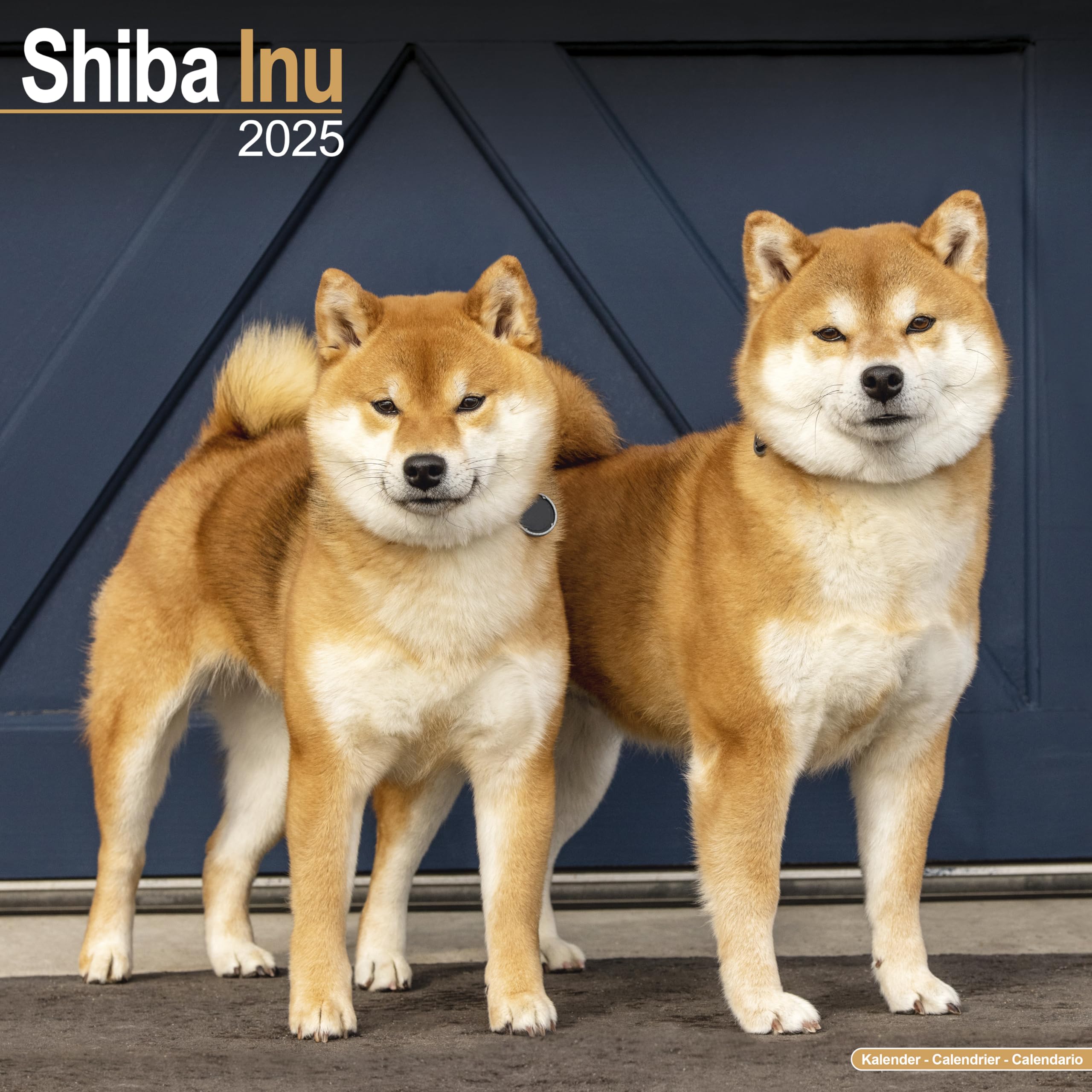 2025 Shiba Inu Dog Breed Wall Calendar - 16 Month Square Planner with Cute Puppy Photos | Perfect for Pet Lovers, Home & Office Decor, Gift Idea for Dog Owners