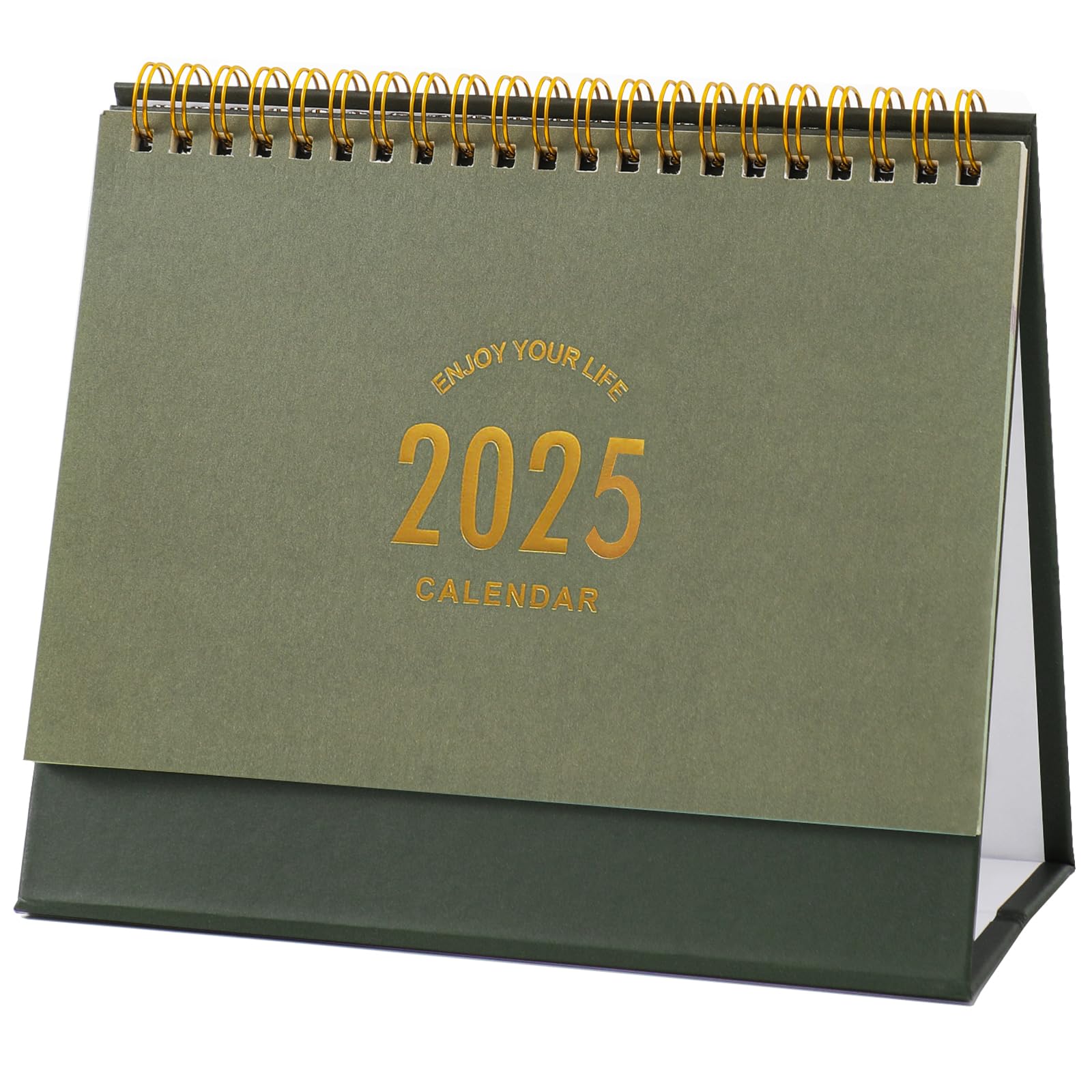 2025 Small Desk Calendar - Standing Flip Monthly Planner with Metal Ring Twin-Wire Binding for Home, Office & School | Perfect for Scheduling, Productivity & Organization (Green)
