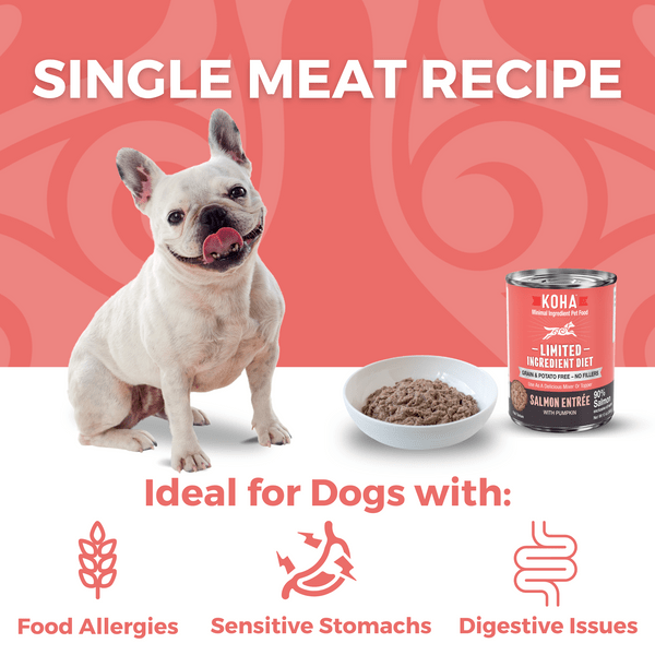KOHA LID Salmon Entrée Canned Dog Food - Grain-Free, Limited Ingredient Diet for Dogs with Sensitive Stomachs - Perfect for Mealtime, Travel & Emergency Pet Food Supply