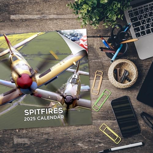 2024-2025 Spitfires Airplane Wall Calendar - 12