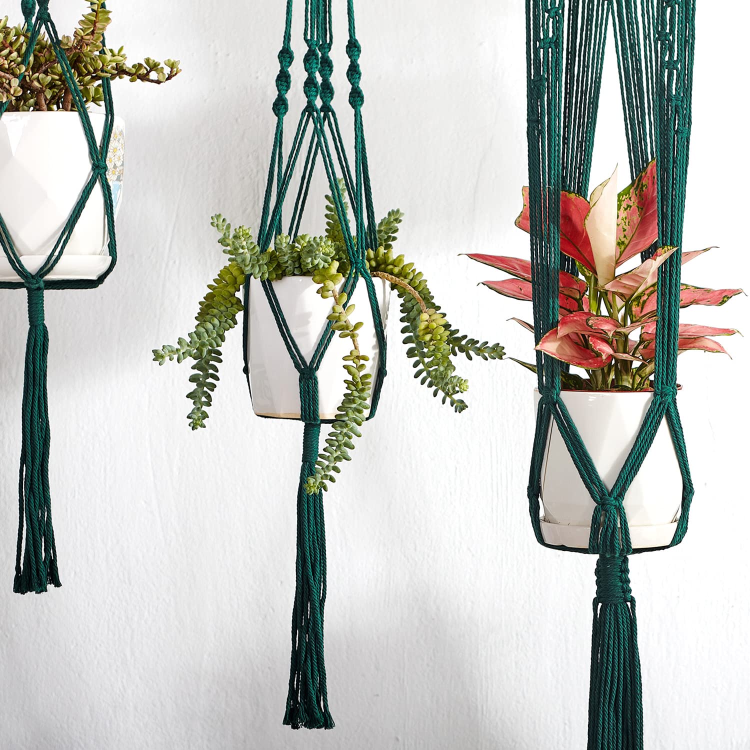 Handmade Macrame Plant Hangers for Indoor Plants - 6 Pack Boho Hanging Plant Holders with Strong Ropes, Home Wall Decor for Living Room, Bedroom, Balcony & Garden