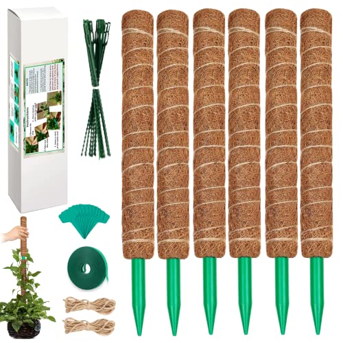 Green, 6*20.5 in