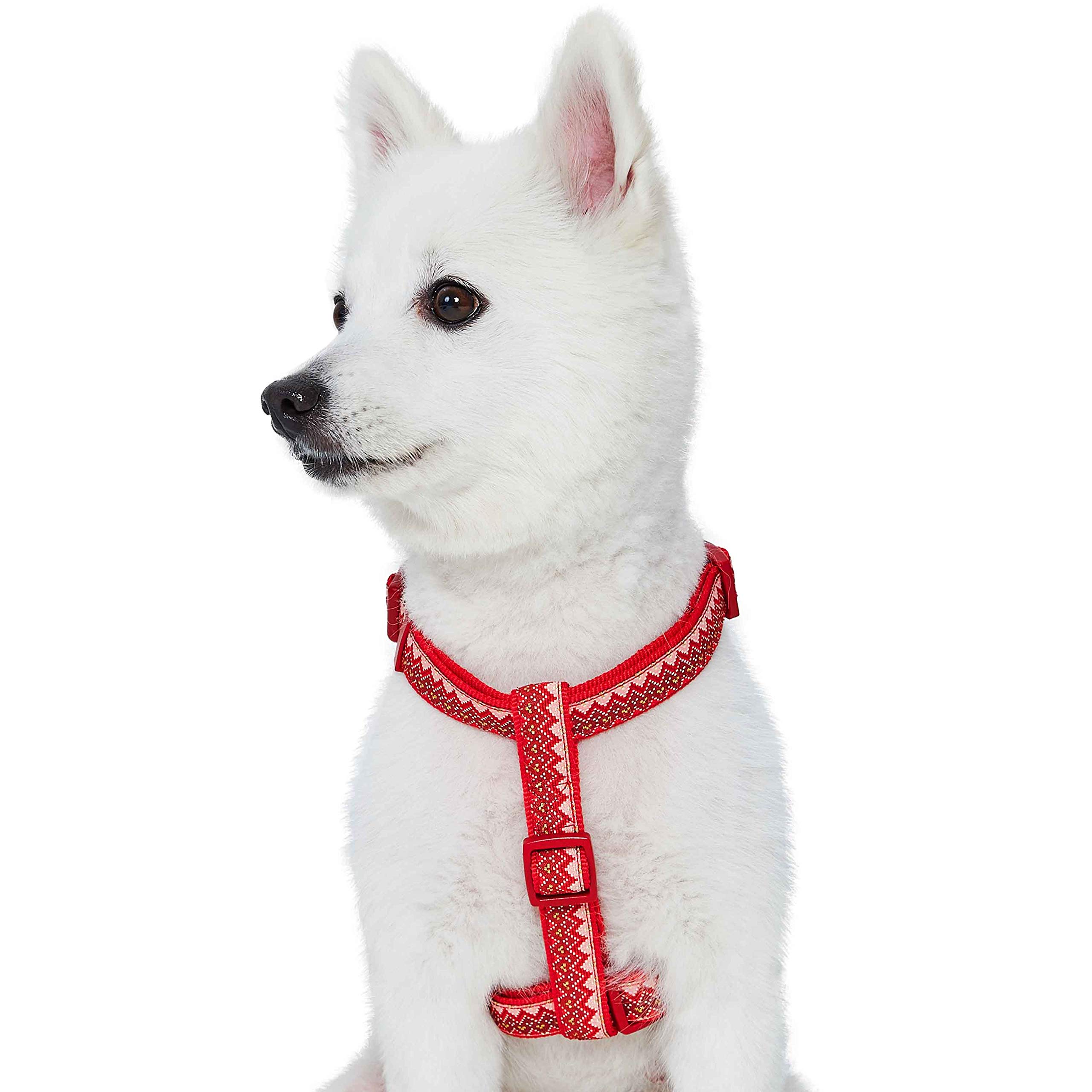 Blueberry Pet Christmas Zigzag Chevron No-Pull Dog Harness with Holly Décor - Adjustable Small Dog Vest for Walking & Training | Festive Holiday Outfit for Puppies