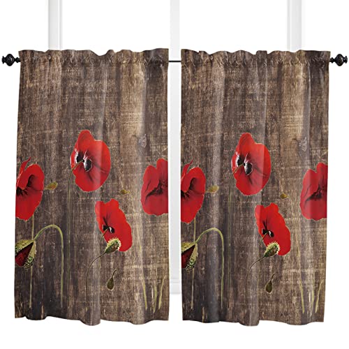 Poppy Flowerdle0393