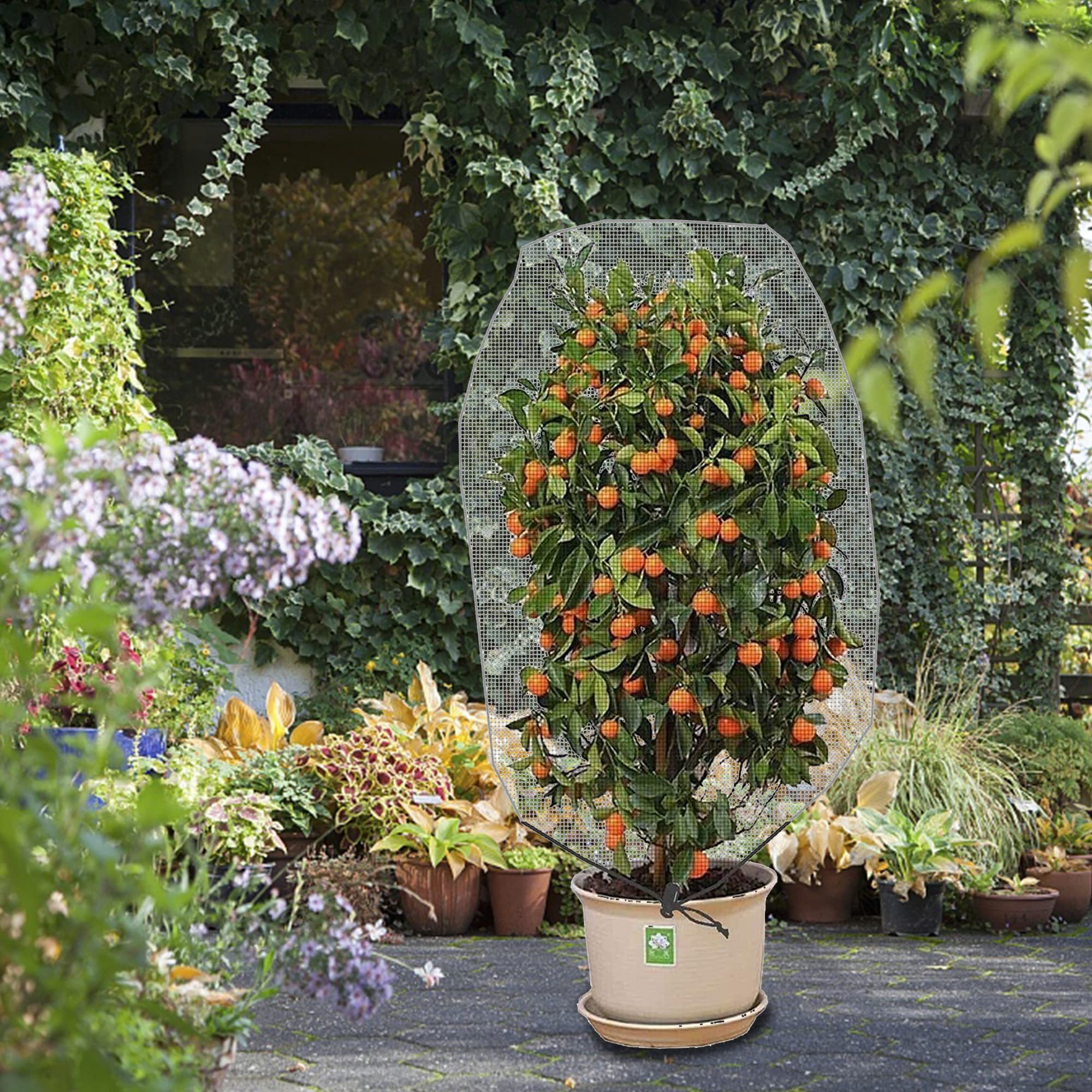 Alpurple 2-Pack Garden Plant Protection Netting Bags - 4.6 x 3.9 Ft Reusable Drawstring Mesh Covers for Fruit Trees, Tomato Plants, Citrus & Flowers - Bird & Insect Barrier for Outdoor Gardening, Backyard Orchard Protection