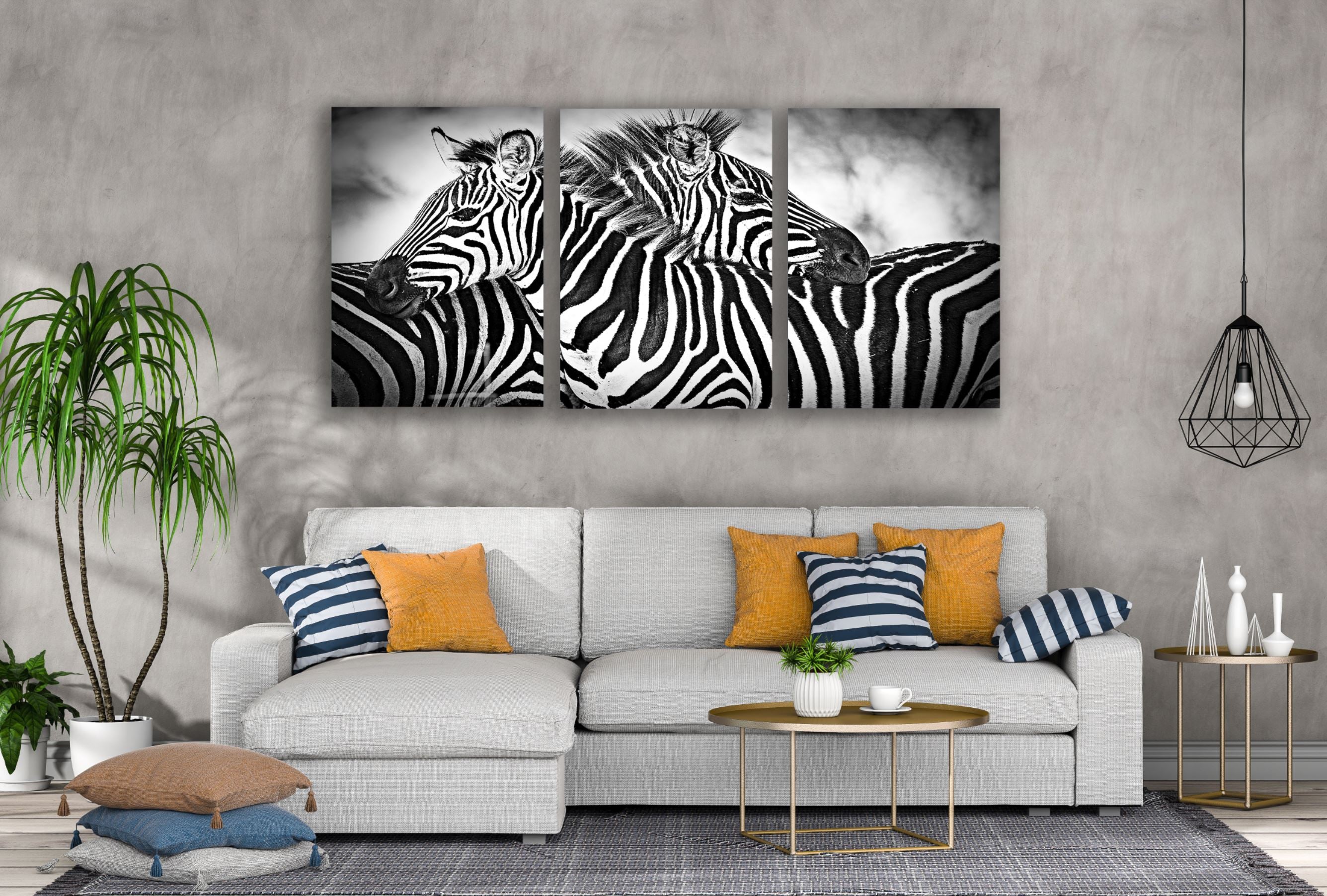 3-Piece Zebra Black & White Photography Wall Art - High Quality Canvas Print - 100% Australian Made - Ready to Hang - Perfect for Living Room, Bedroom or Office Decor