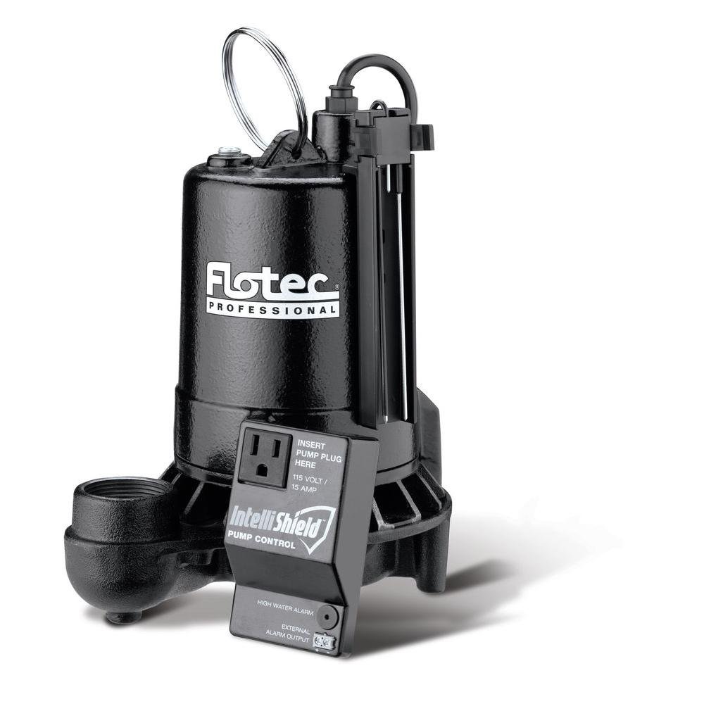 Sta-Rite E100ELT 1 HP Sump Pump Electric Switch - Heavy Duty Water Removal for Basement, Crawl Space & Flood Prevention