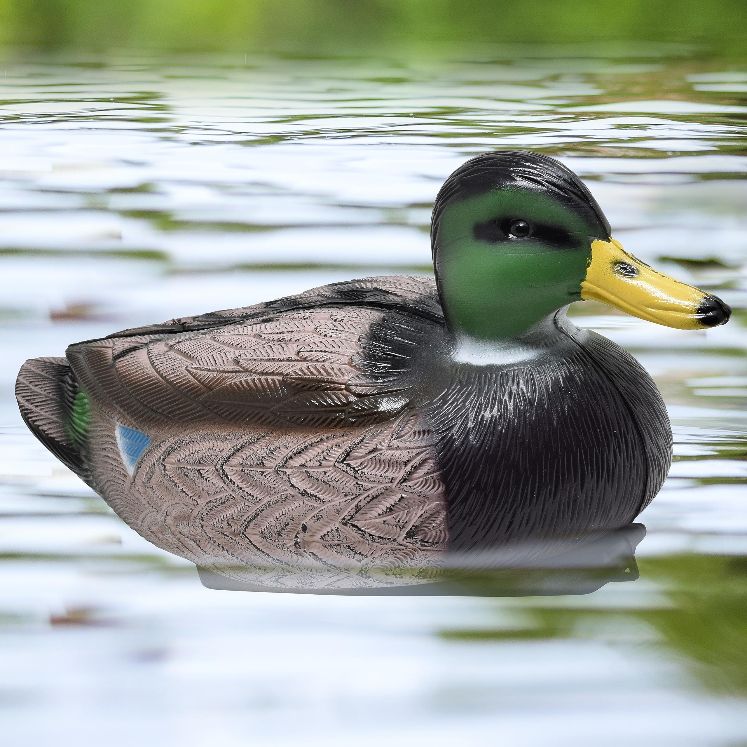 Galashield Realistic Duck Decoys for Hunting - Floating Waterfowl Decoys for Pools, Ponds & Lakes | Perfect for Duck Hunting, Wildlife Photography & Outdoor Decor