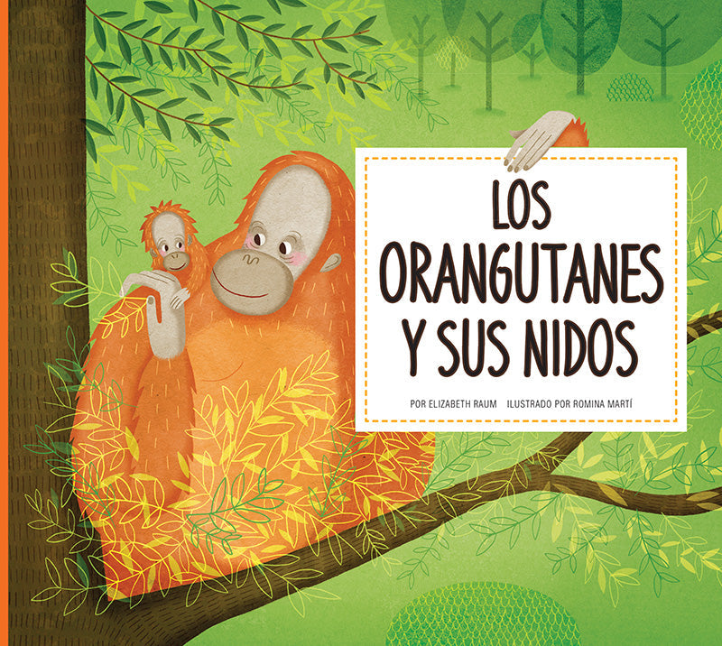 Orangutans and Their Nests - Fascinating Primate Behavior & Habitat Facts | Perfect for Wildlife Education & Nature Enthusiasts