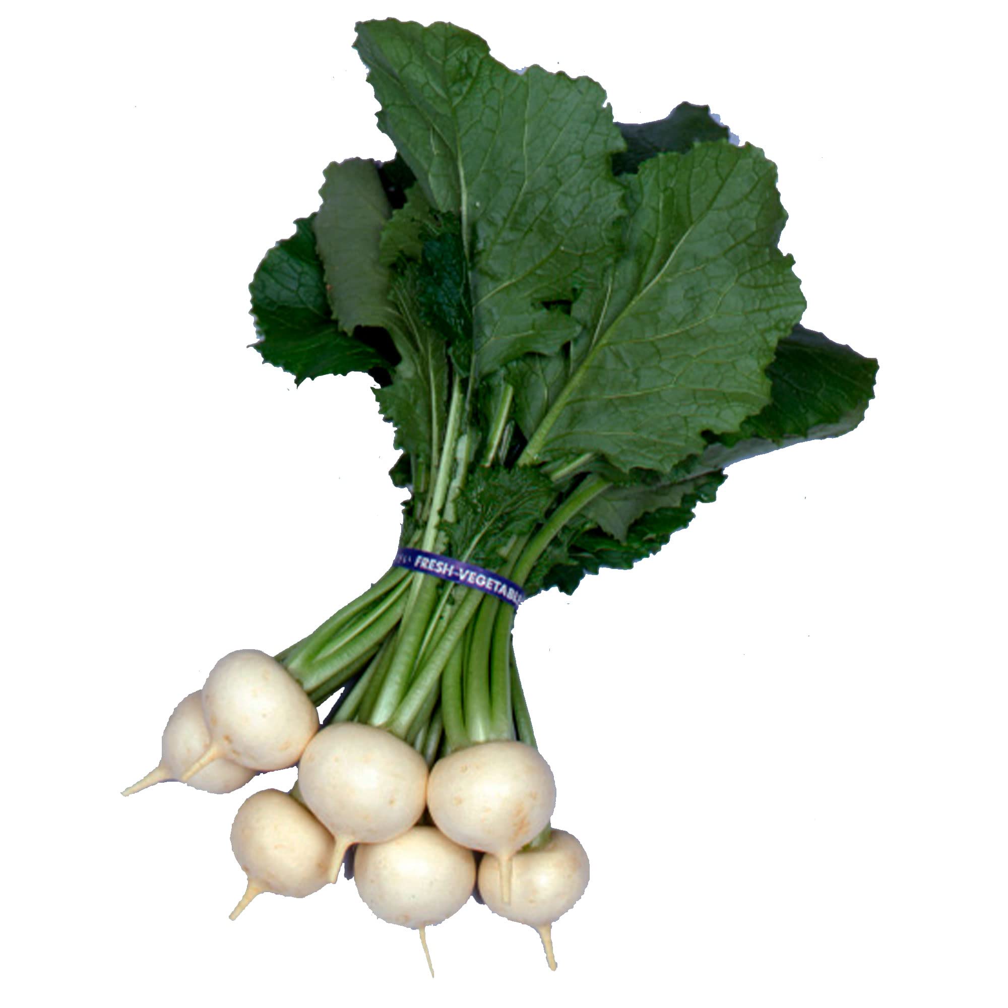 Turnip Seeds - Kanamachi Variety - 1 Lb (~144,000 Seeds) - Non-GMO Heirloom Seeds for Asian Garden Vegetables & Microgreens - Perfect for Home Gardening, Urban Farming, and Healthy Eating